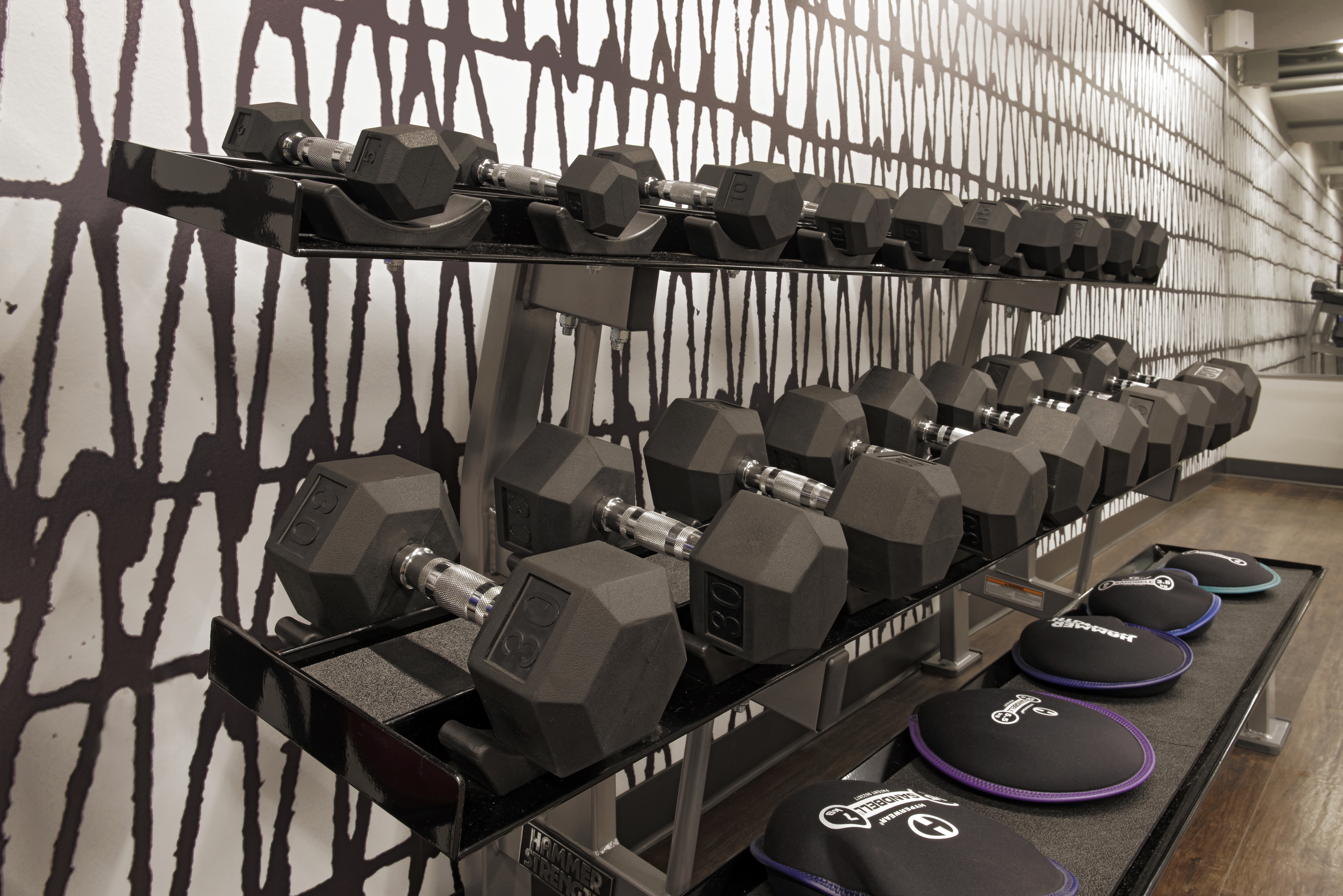 Gym at Ava Van Ness (4 of 4)