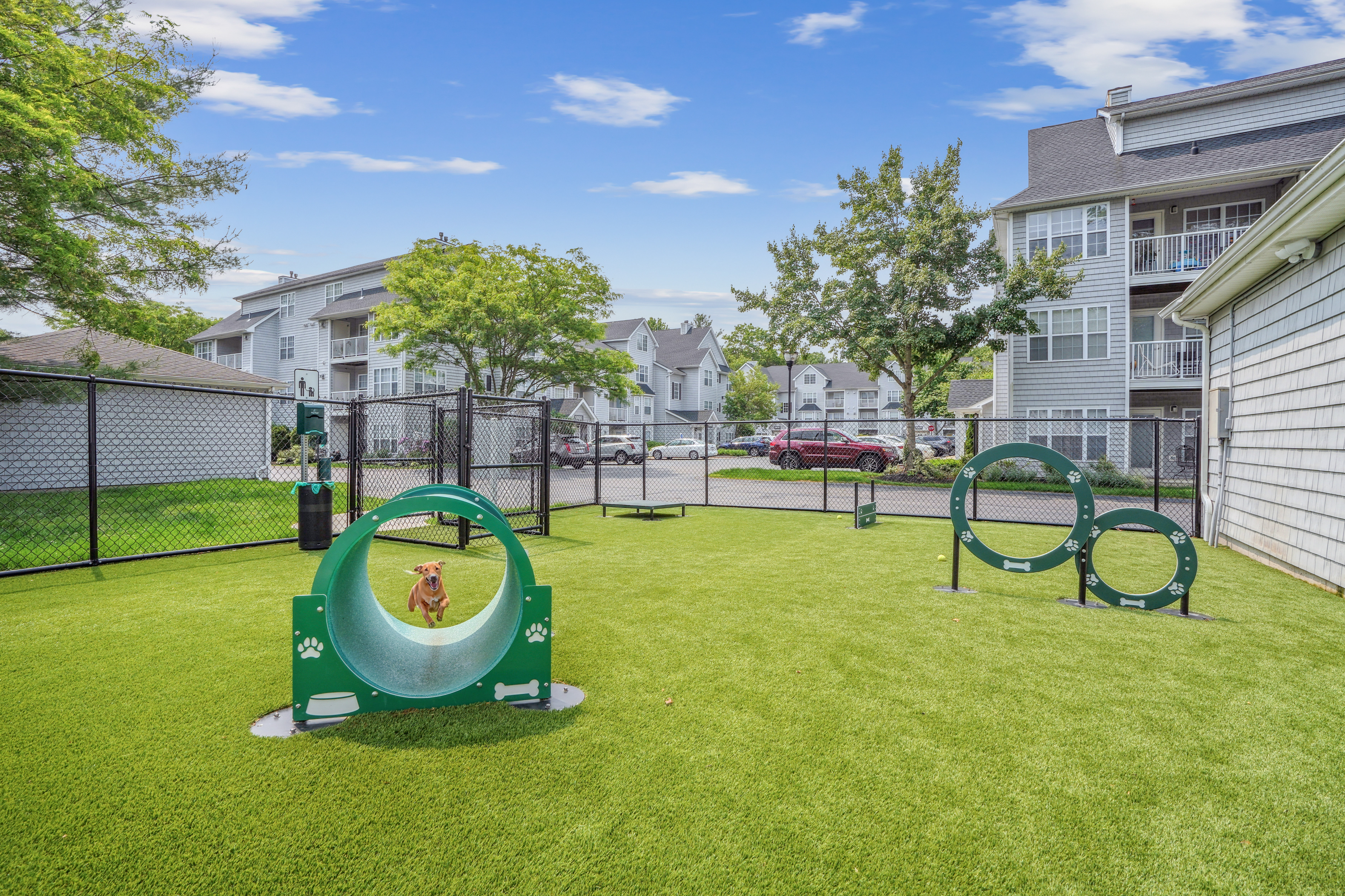 Dog park at Eaves Wilmington And Wilmington West (3 of 3)