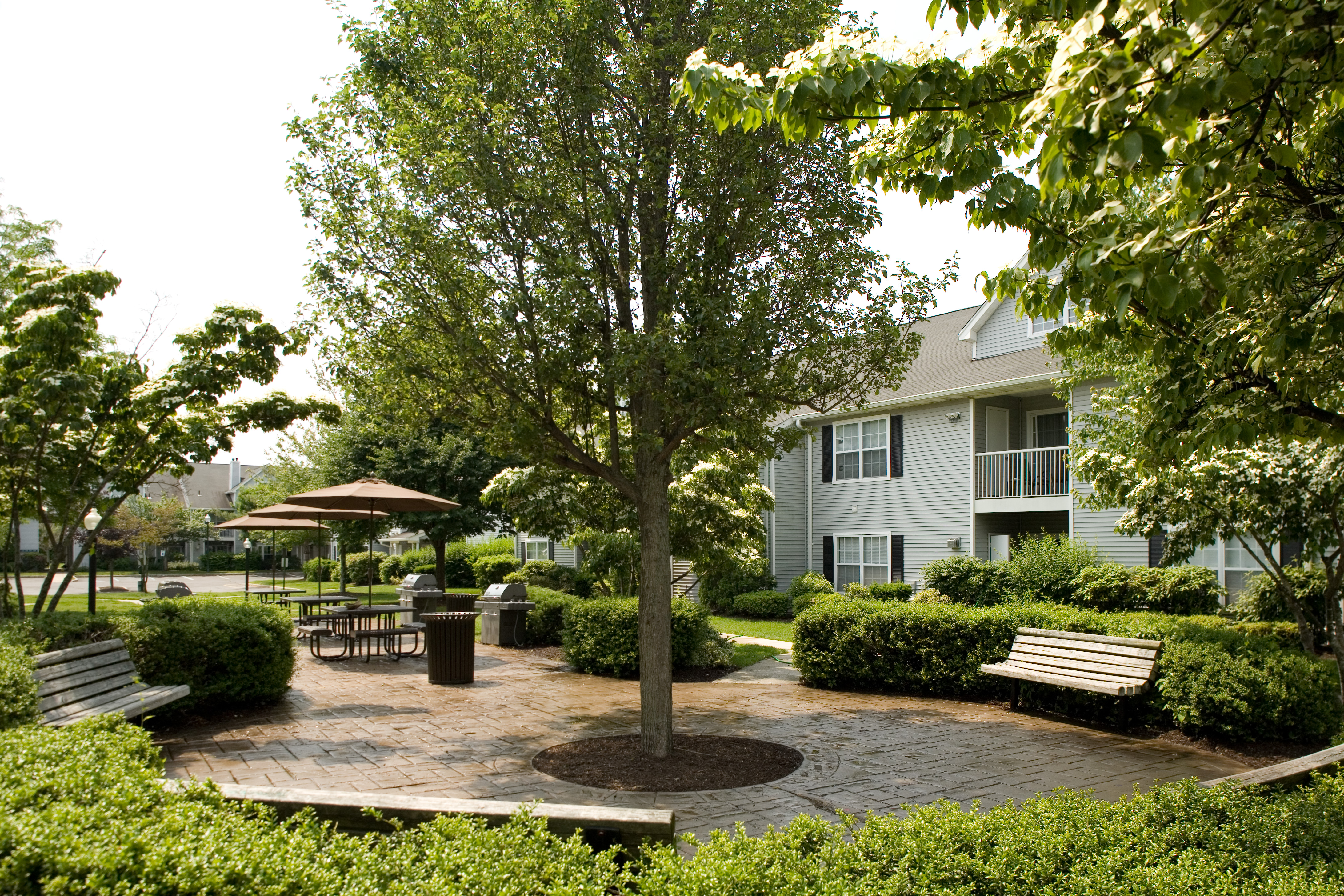 Avalon Commons 36 of 45