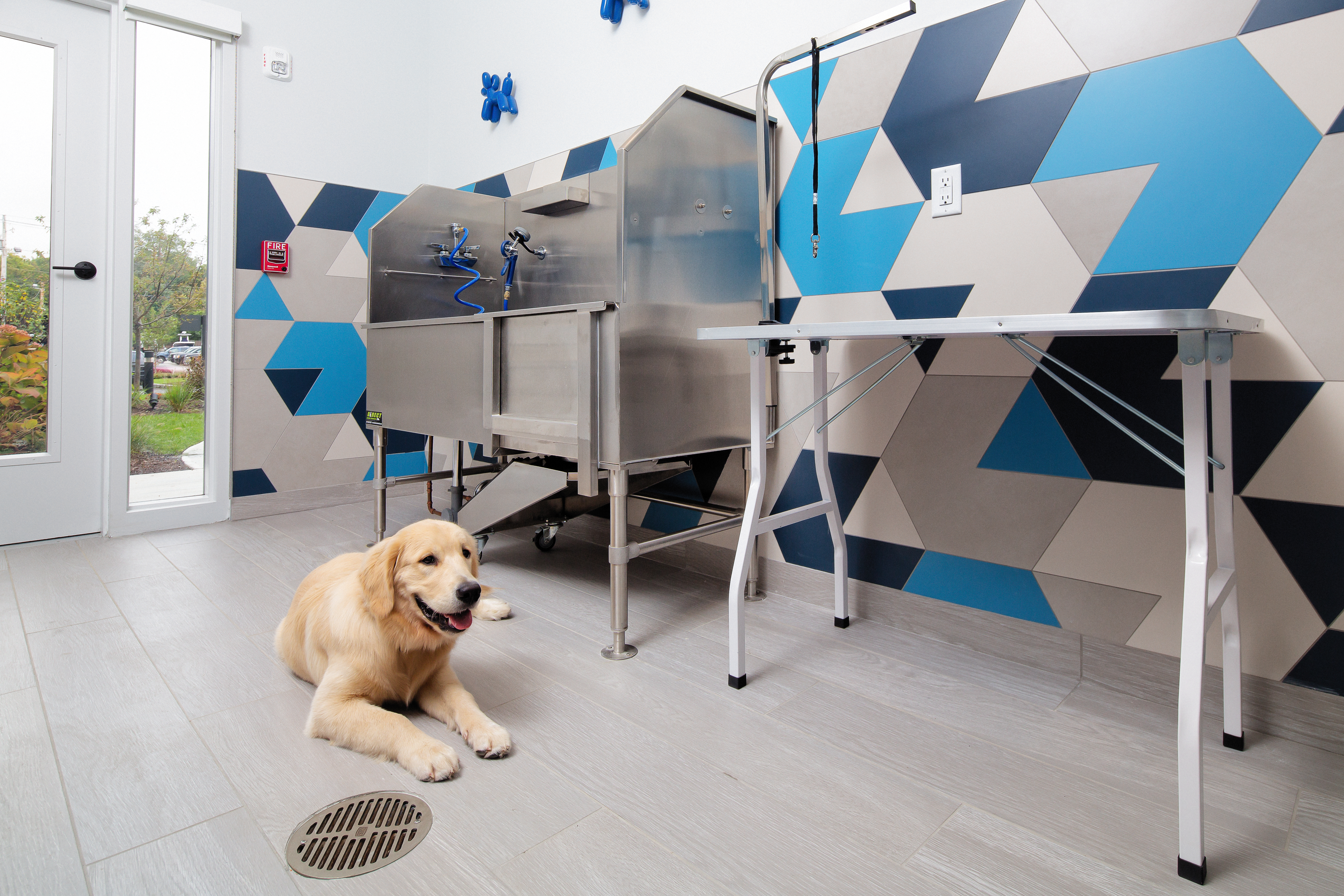 Pet wash at Avalon Residences At The Hingham Shipyard