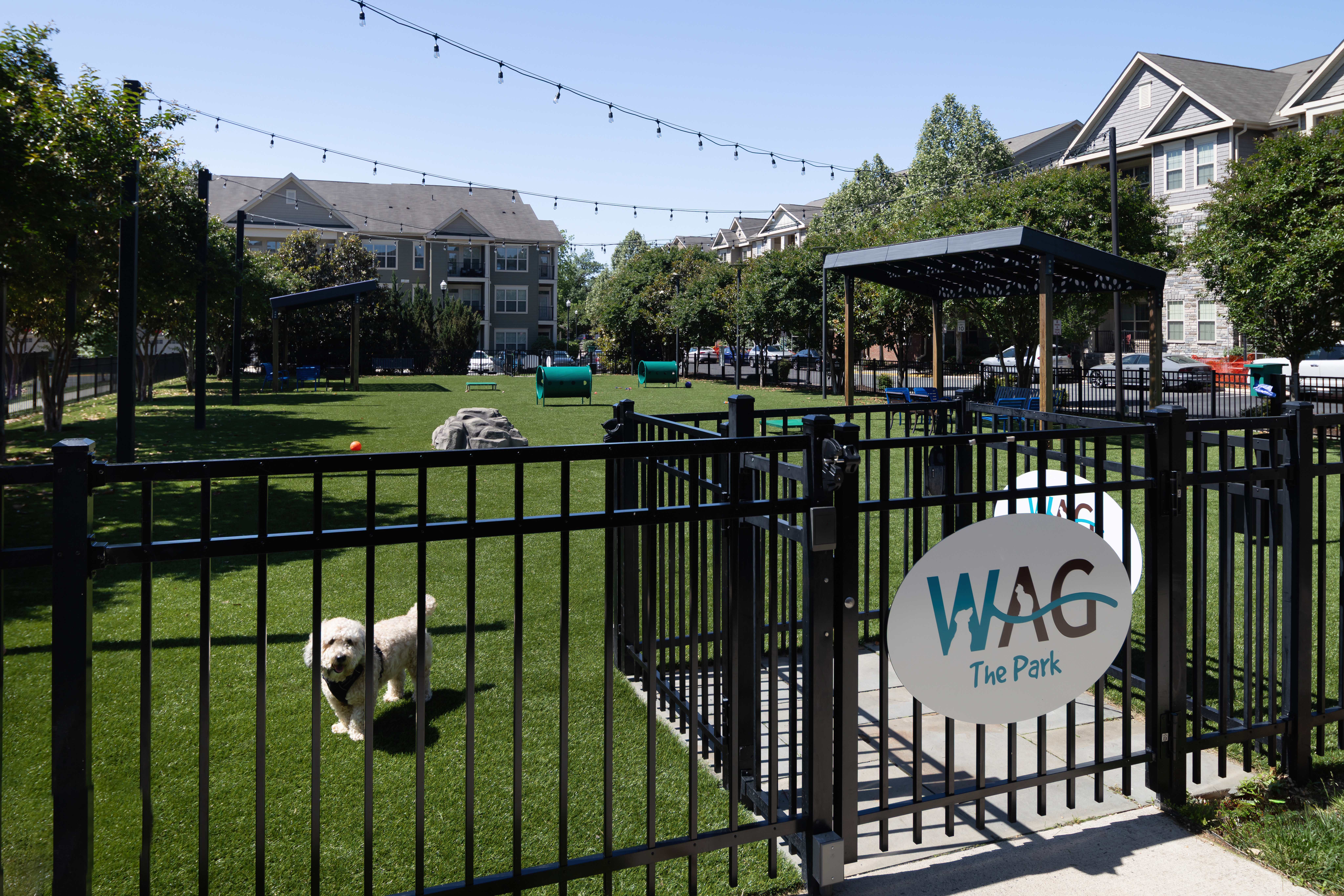 Dog park at Avalon