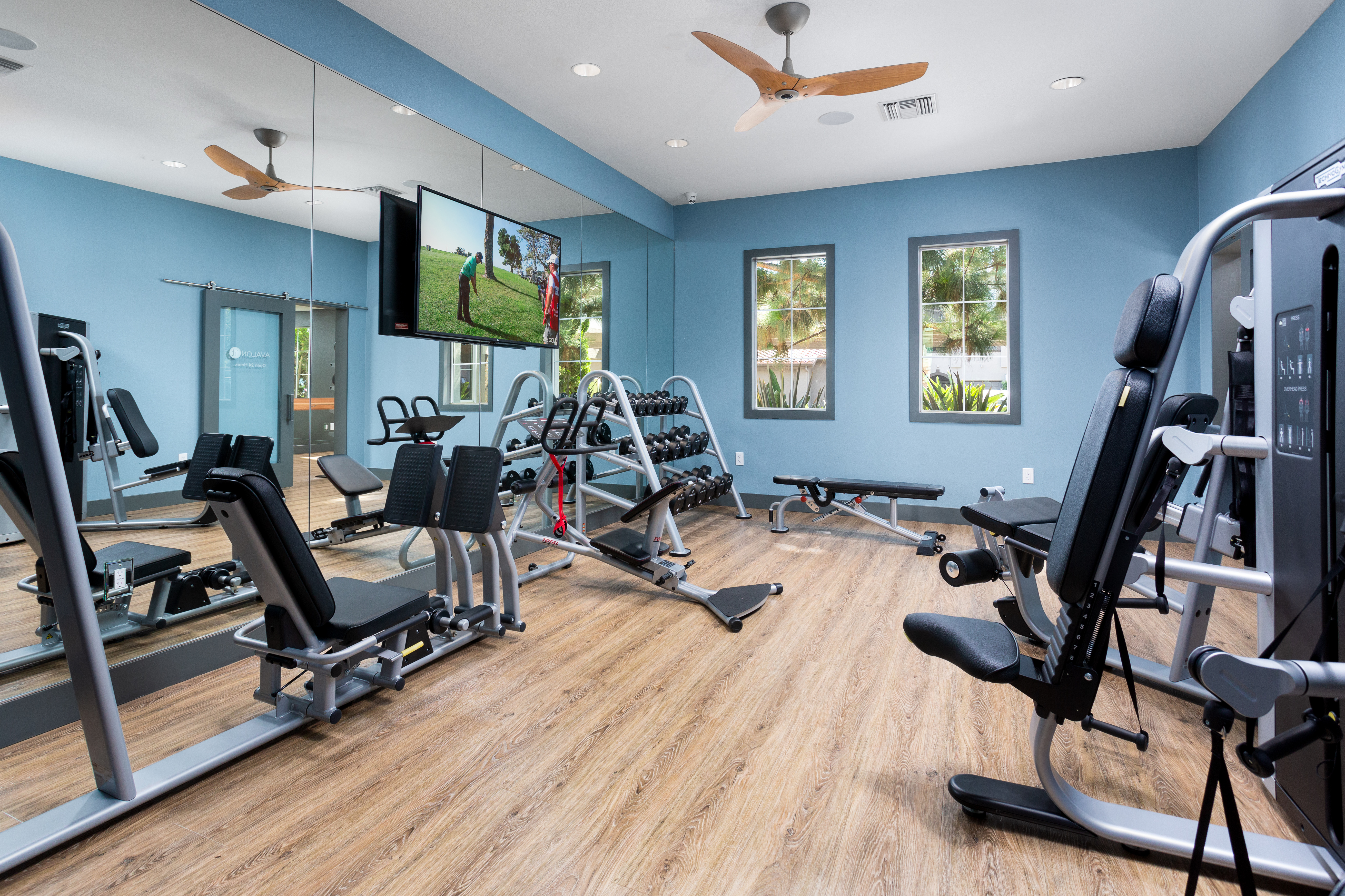 Gym at Avalon (1 of 3)