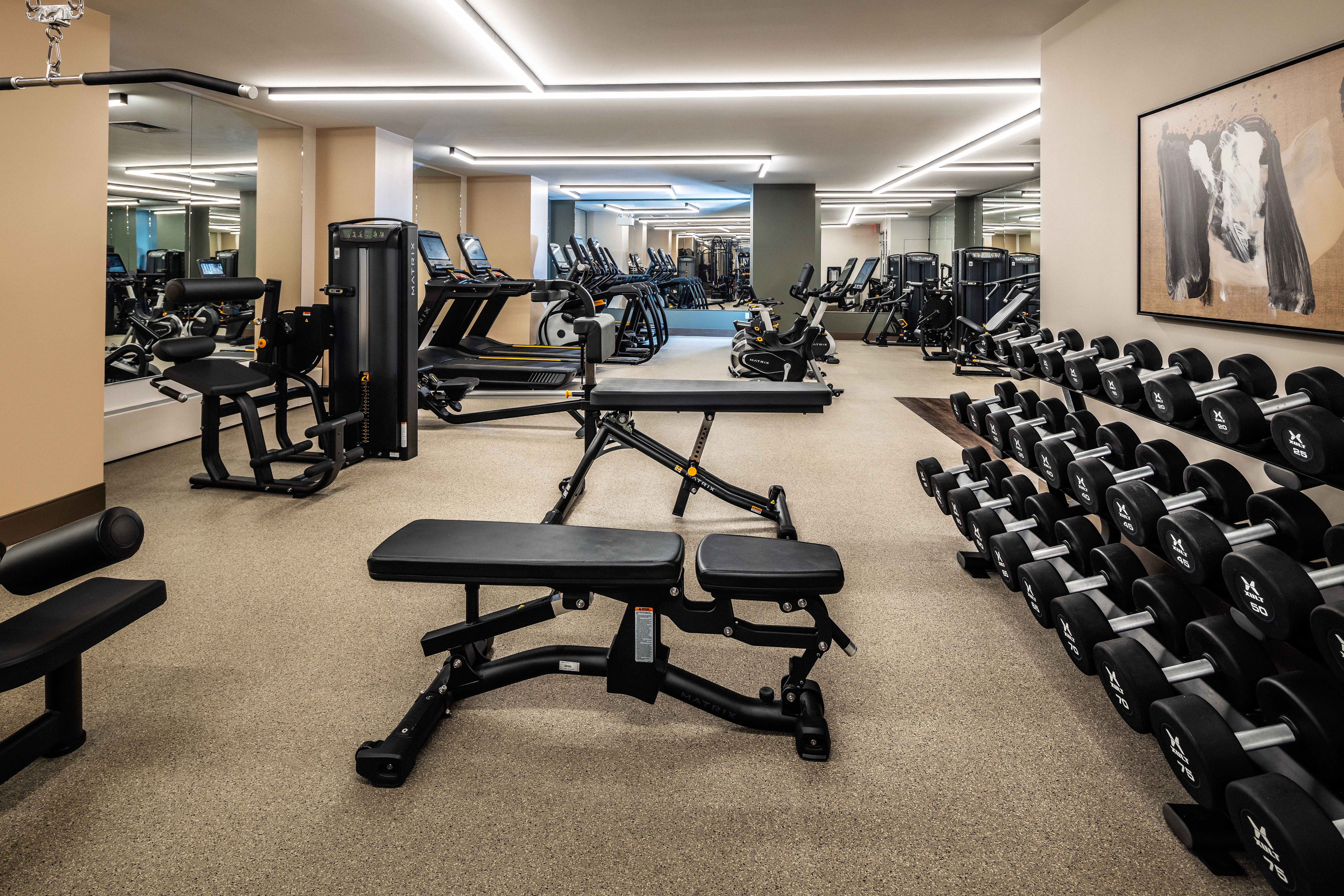 Gym at Avalon Morningside Park (2 of 4)
