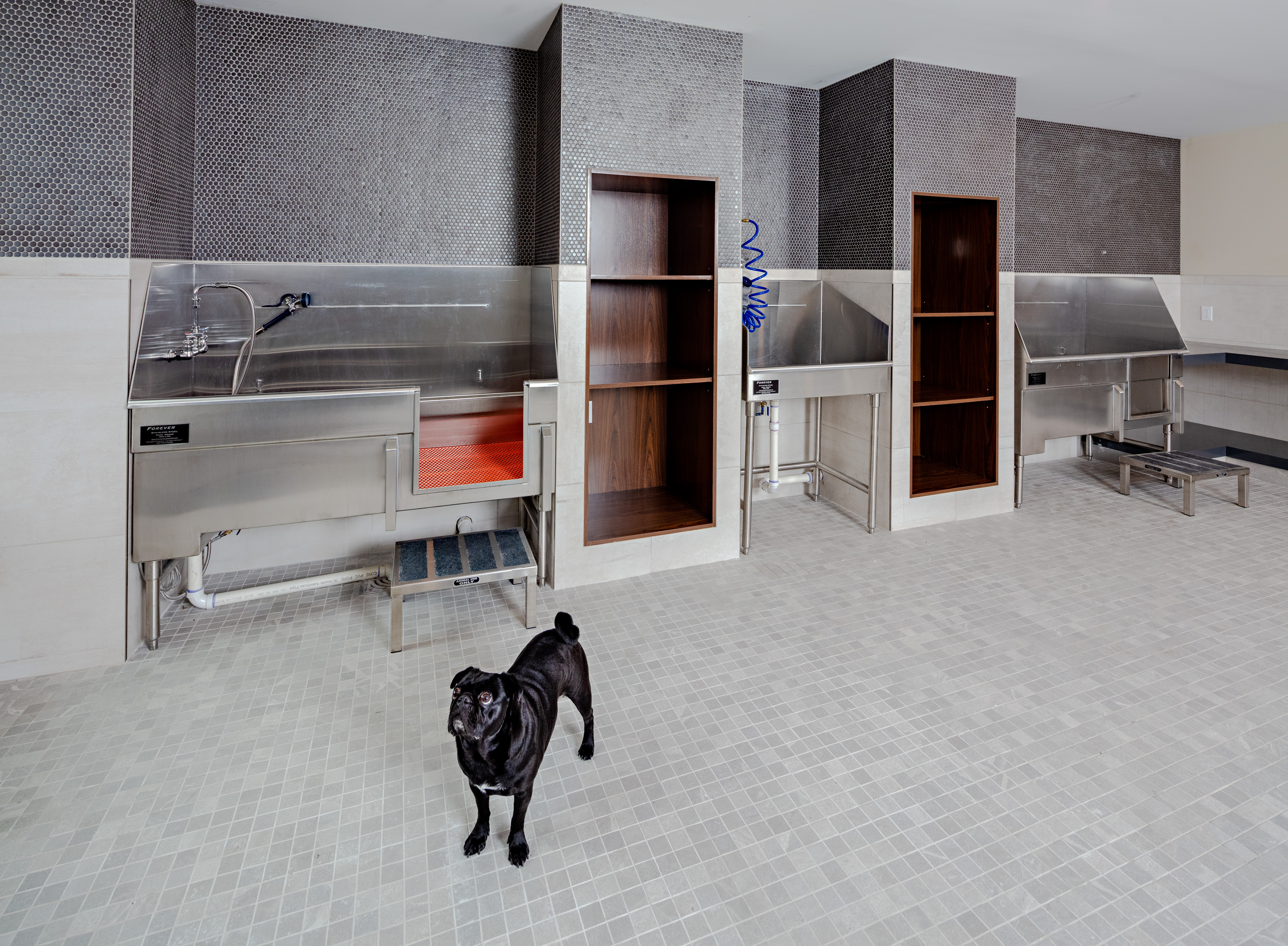 Pet wash at Avalon