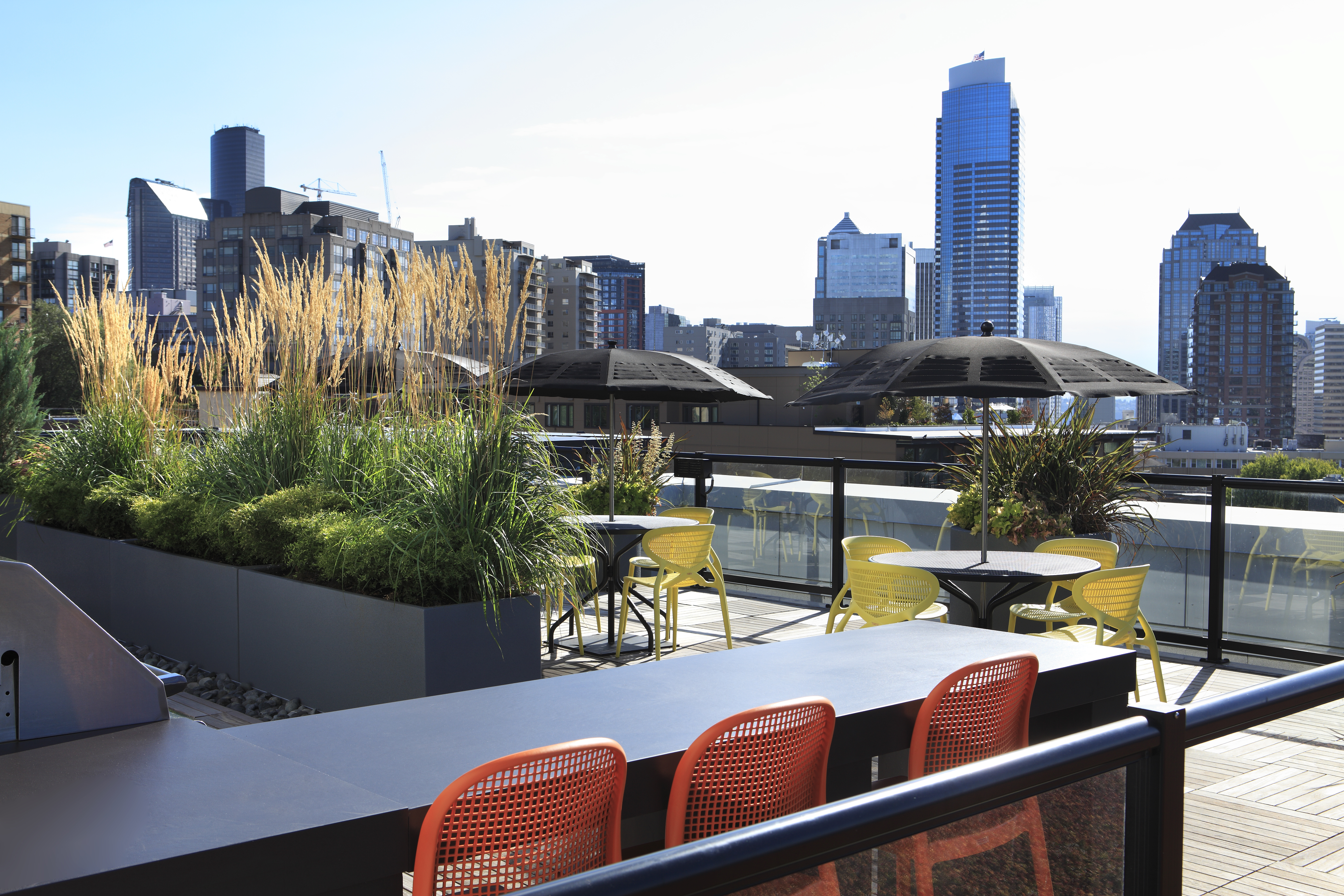 Roof deck at Ava Capitol Hill (1 of 2)