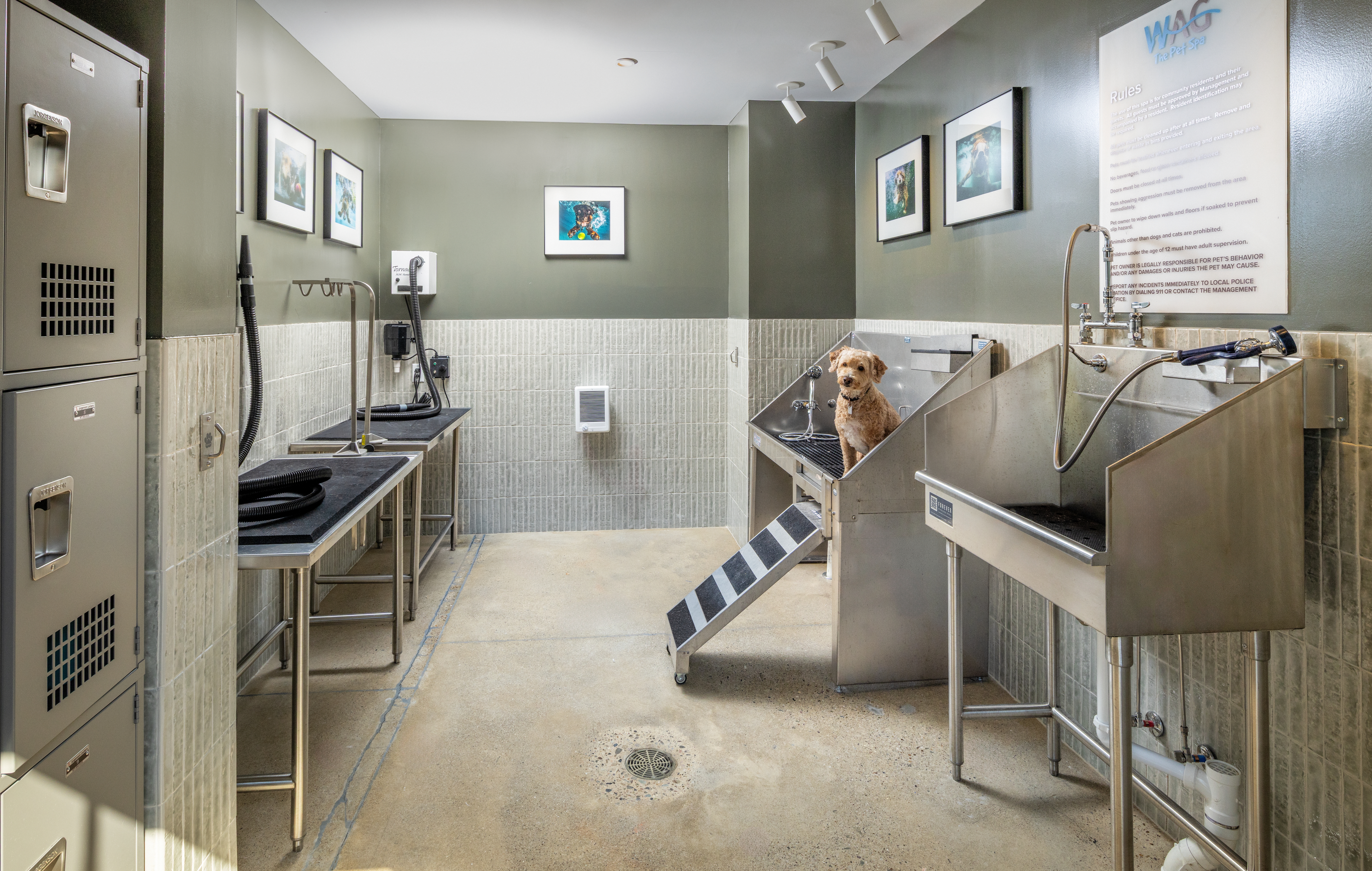 Pet wash at Avalon