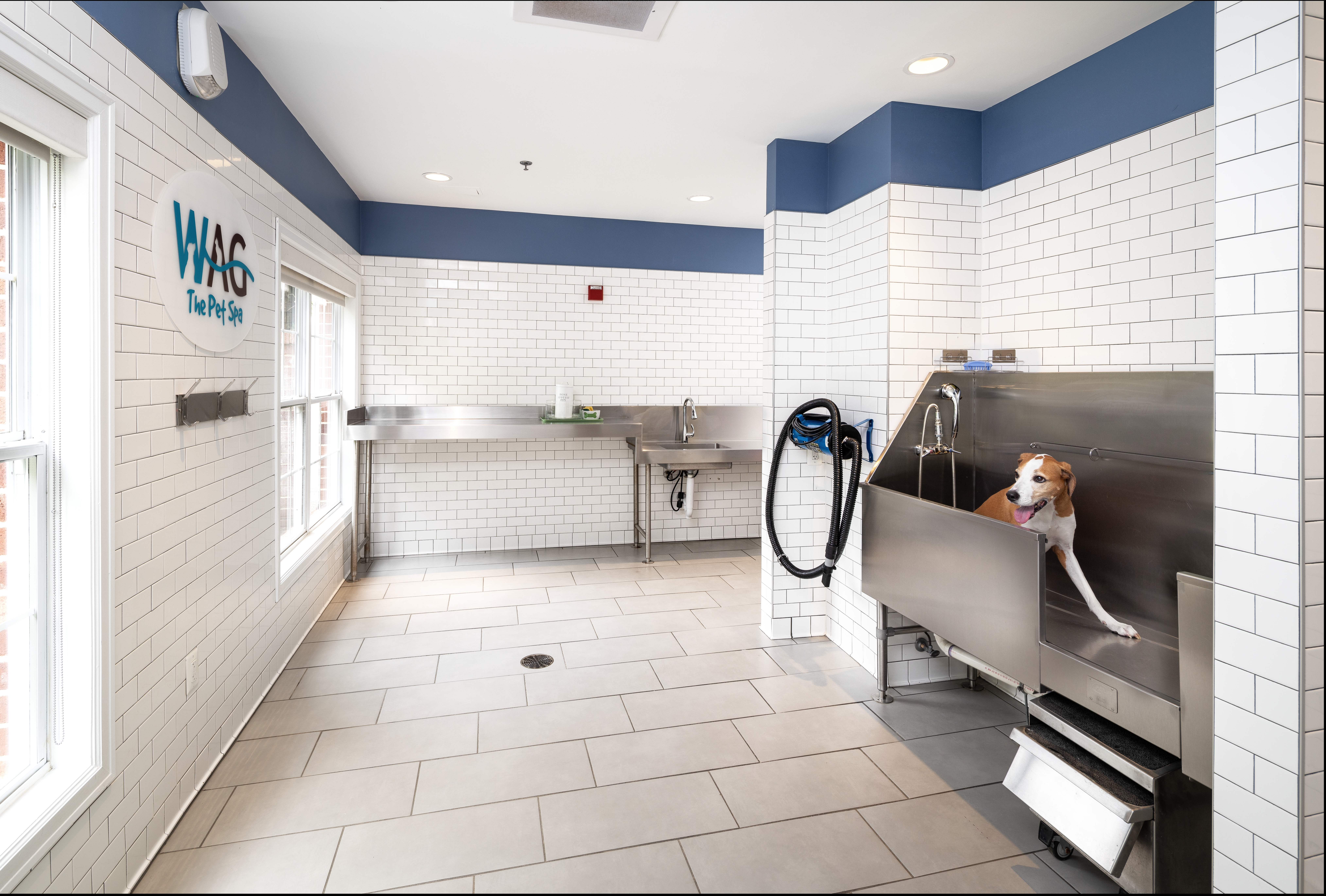 Pet wash at Avalon