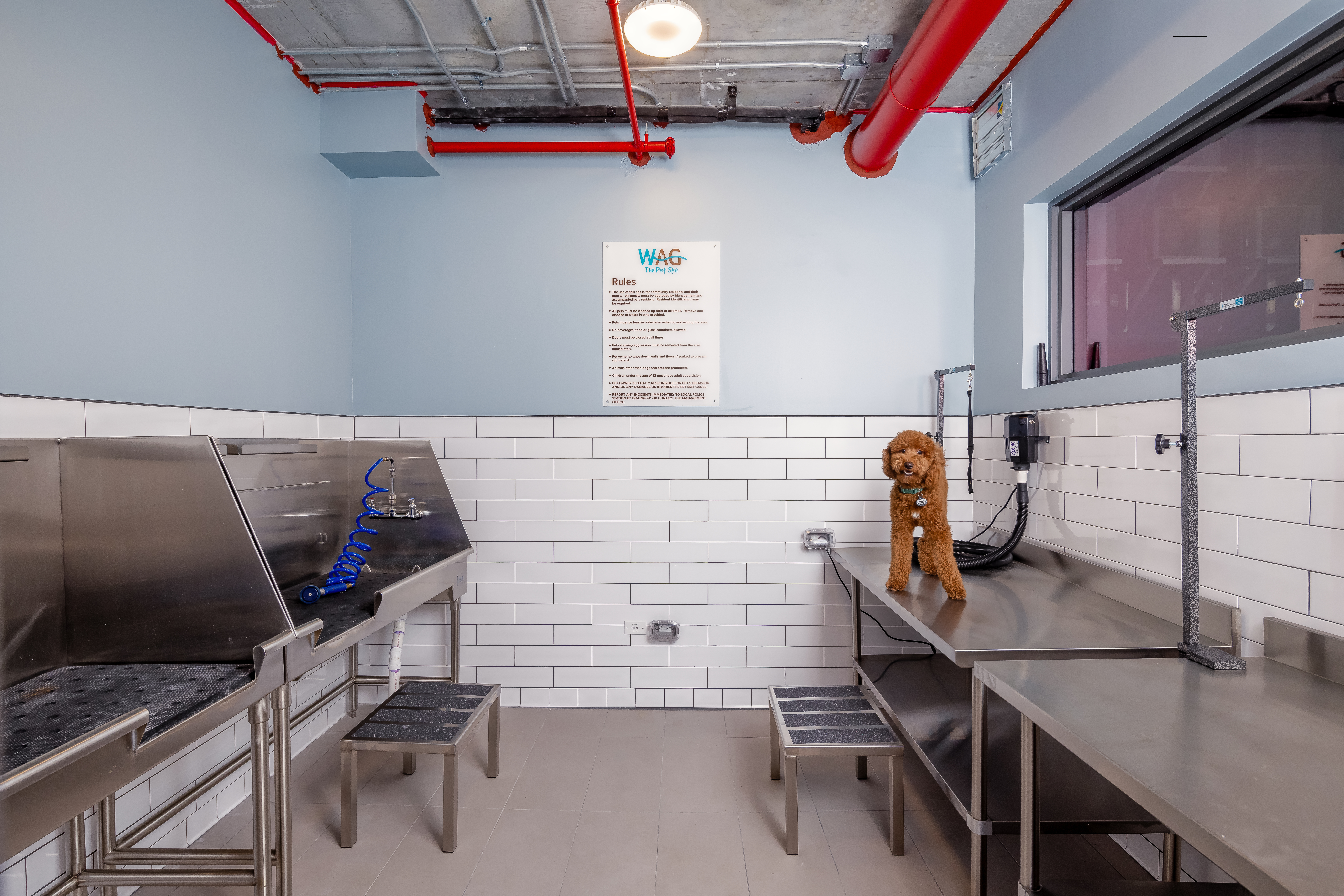 Pet wash at Avalon Merrick Park (2 of 2)