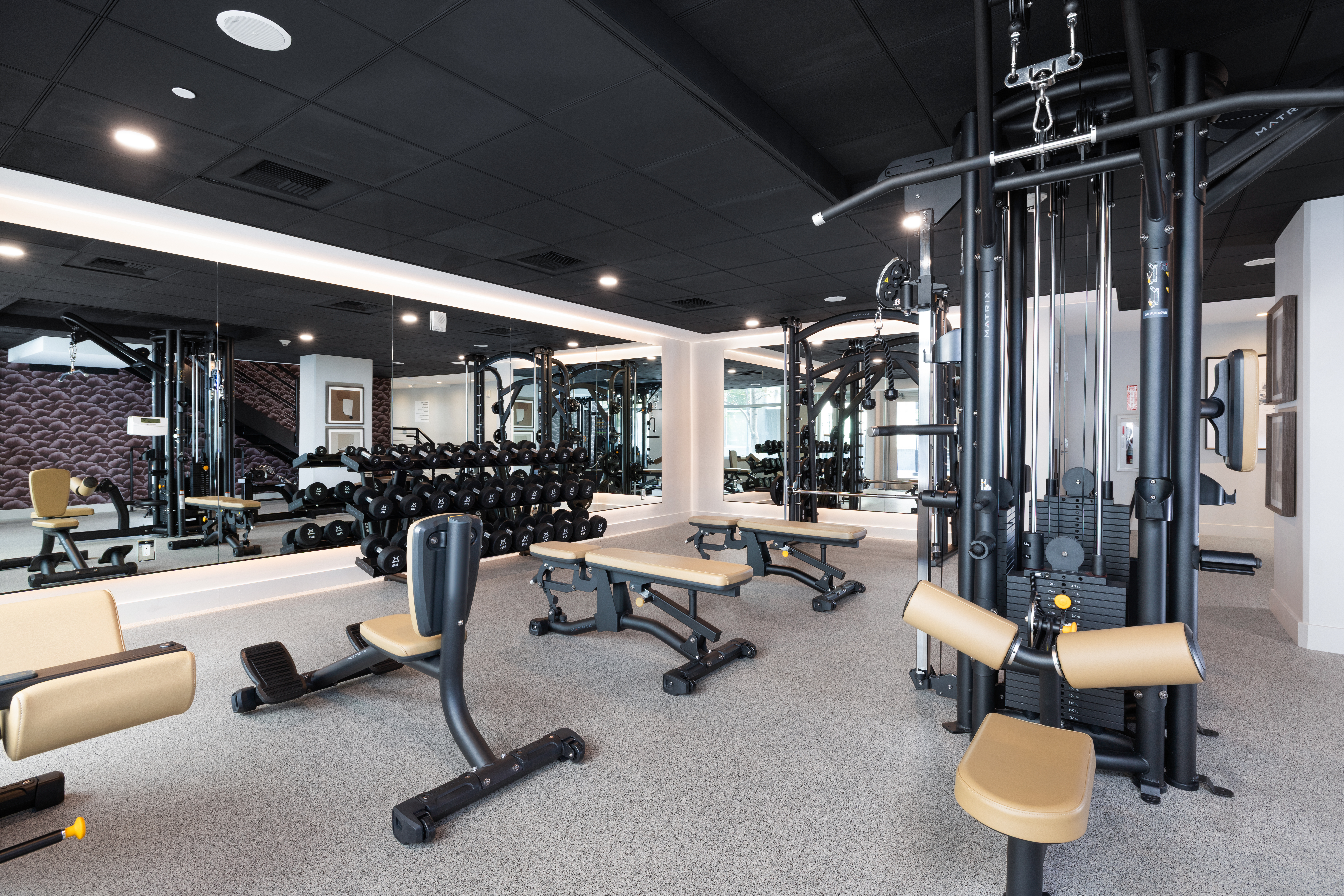 Gym at Avalon At Mission Bay (5 of 8)