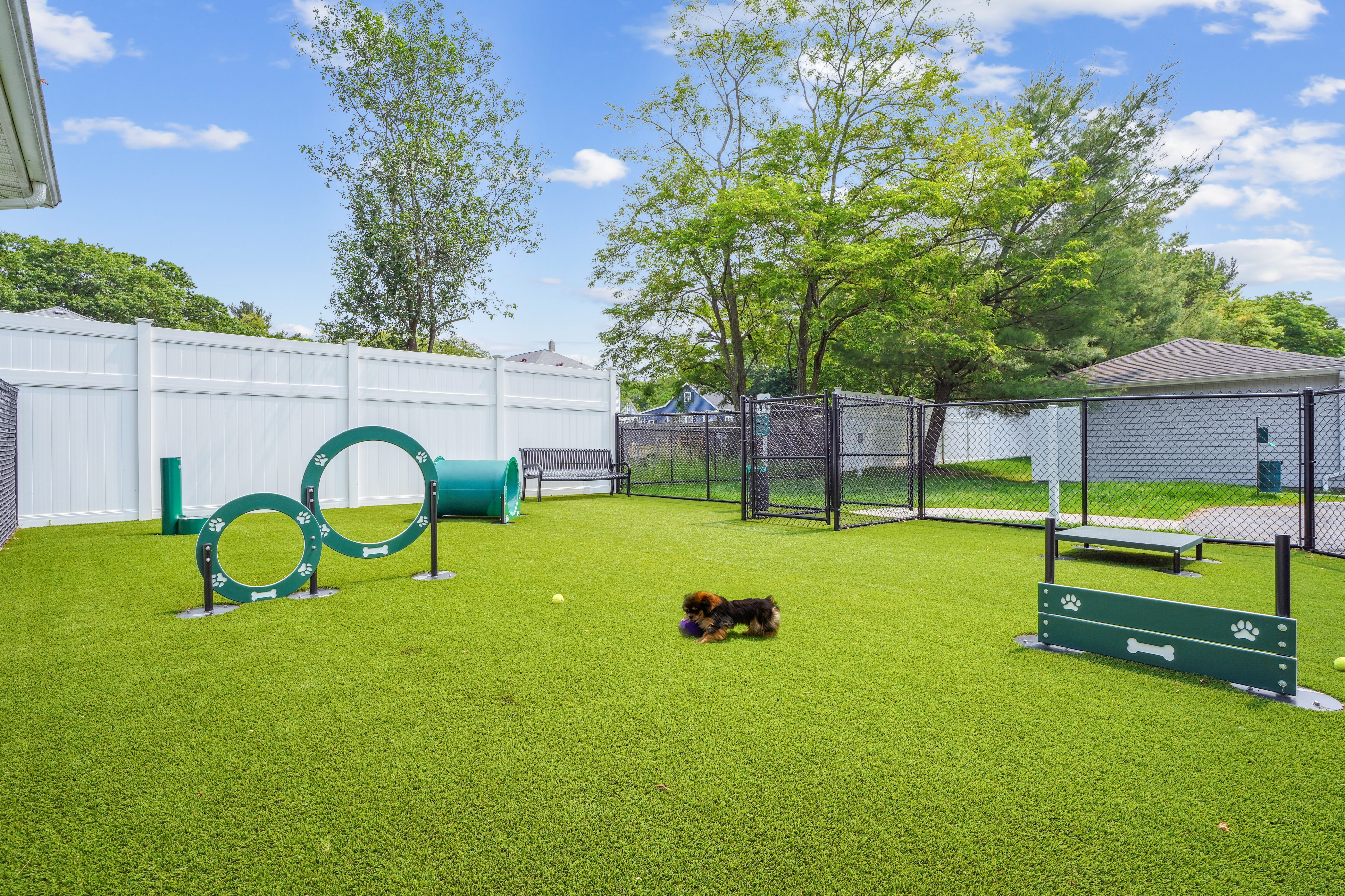 Dog park at Eaves Wilmington And Wilmington West (1 of 3)