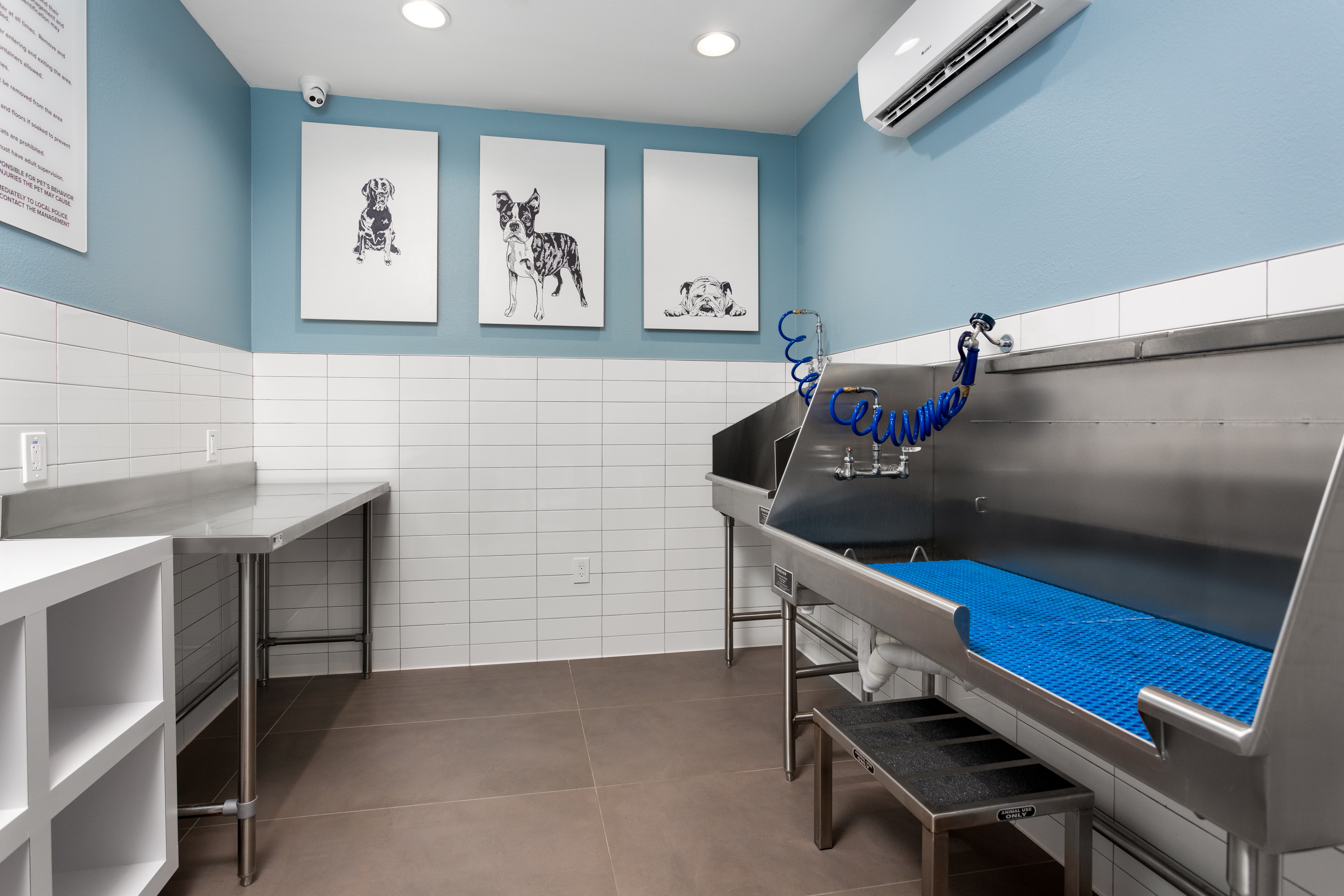 Pet wash at Avalon (2 of 2)