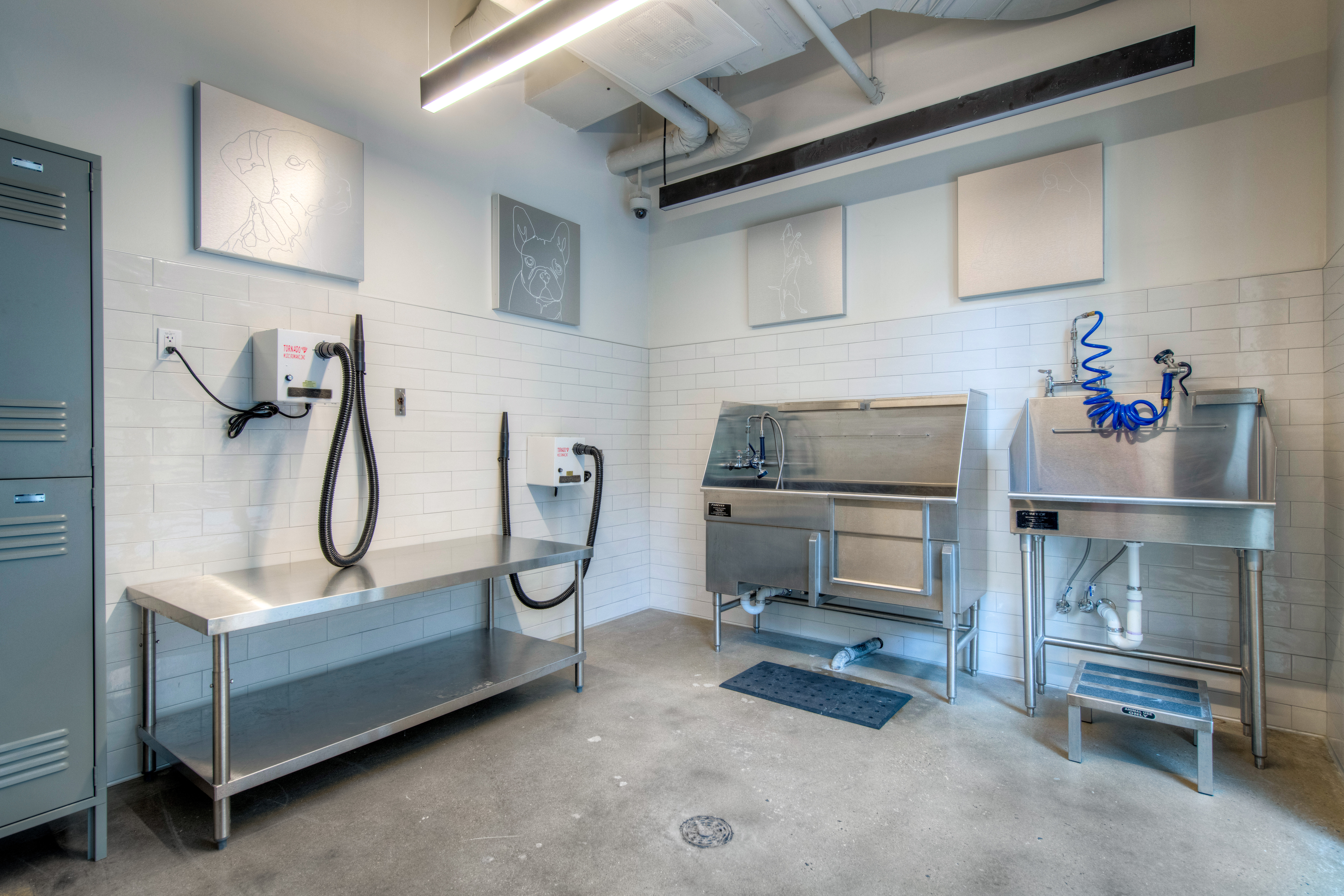 Pet wash at Ava Ballston Square