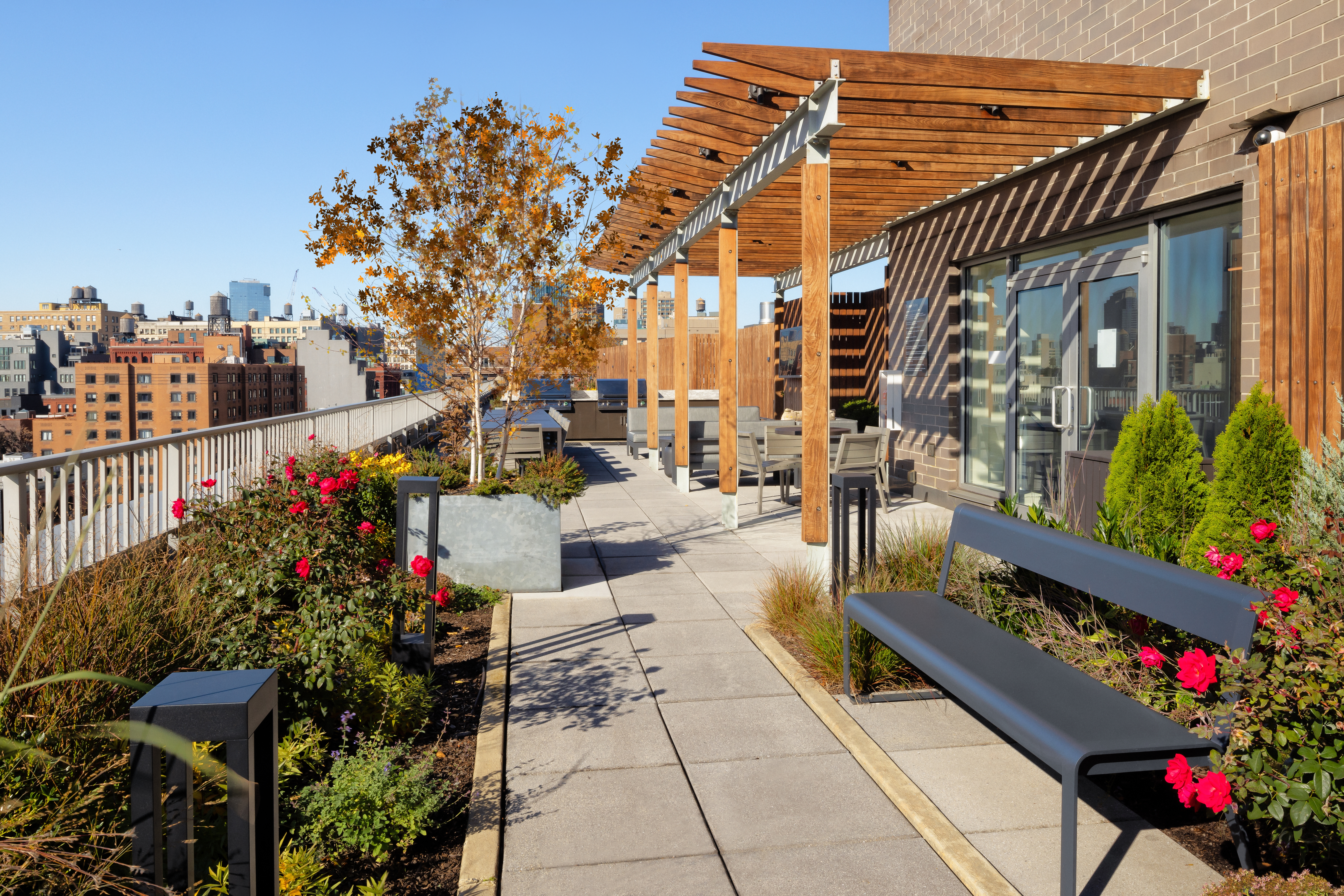 Roof deck at Avalon Bowery Place (5 of 7)