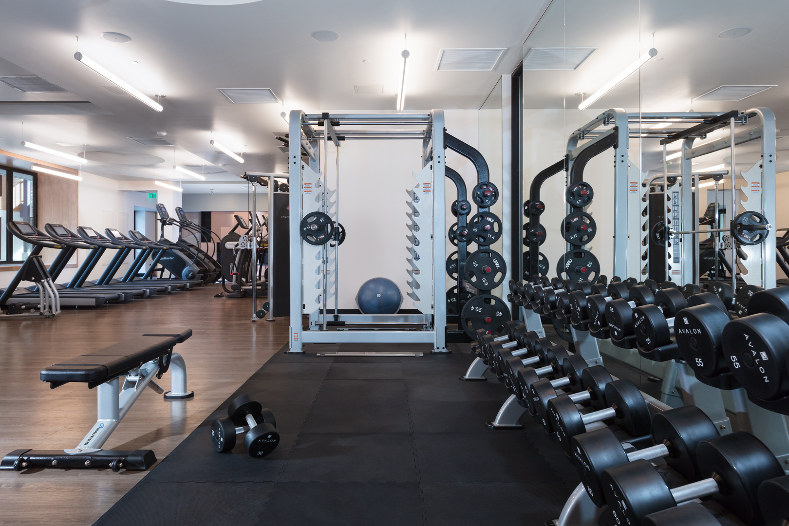 Gym at Avalon Dogpatch (3 of 3)