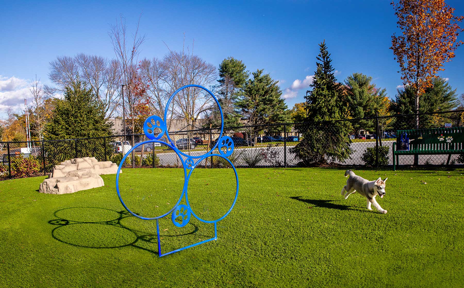 Dog park at Avalon
