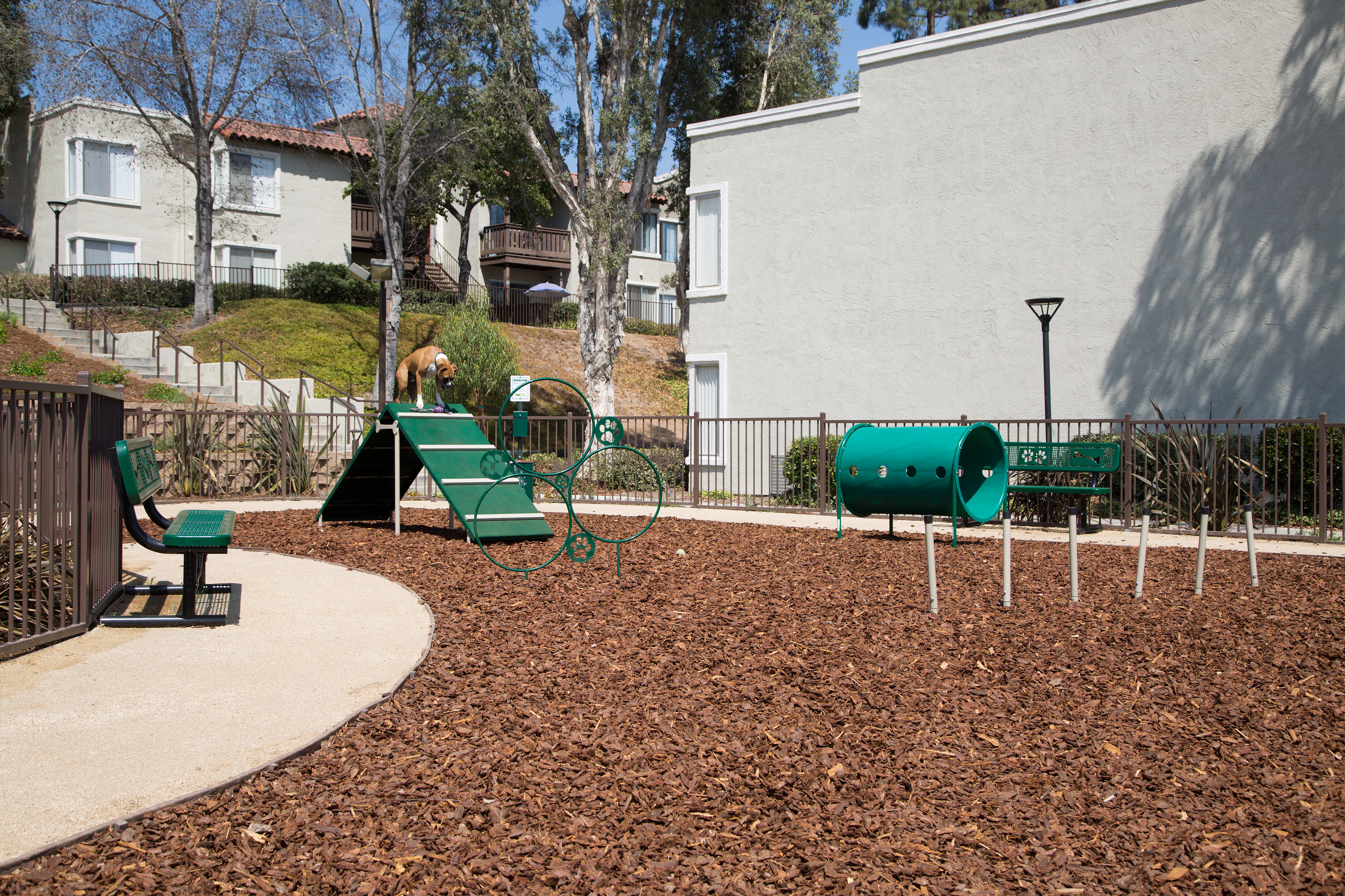 Dog park at Eaves (1 of 2)