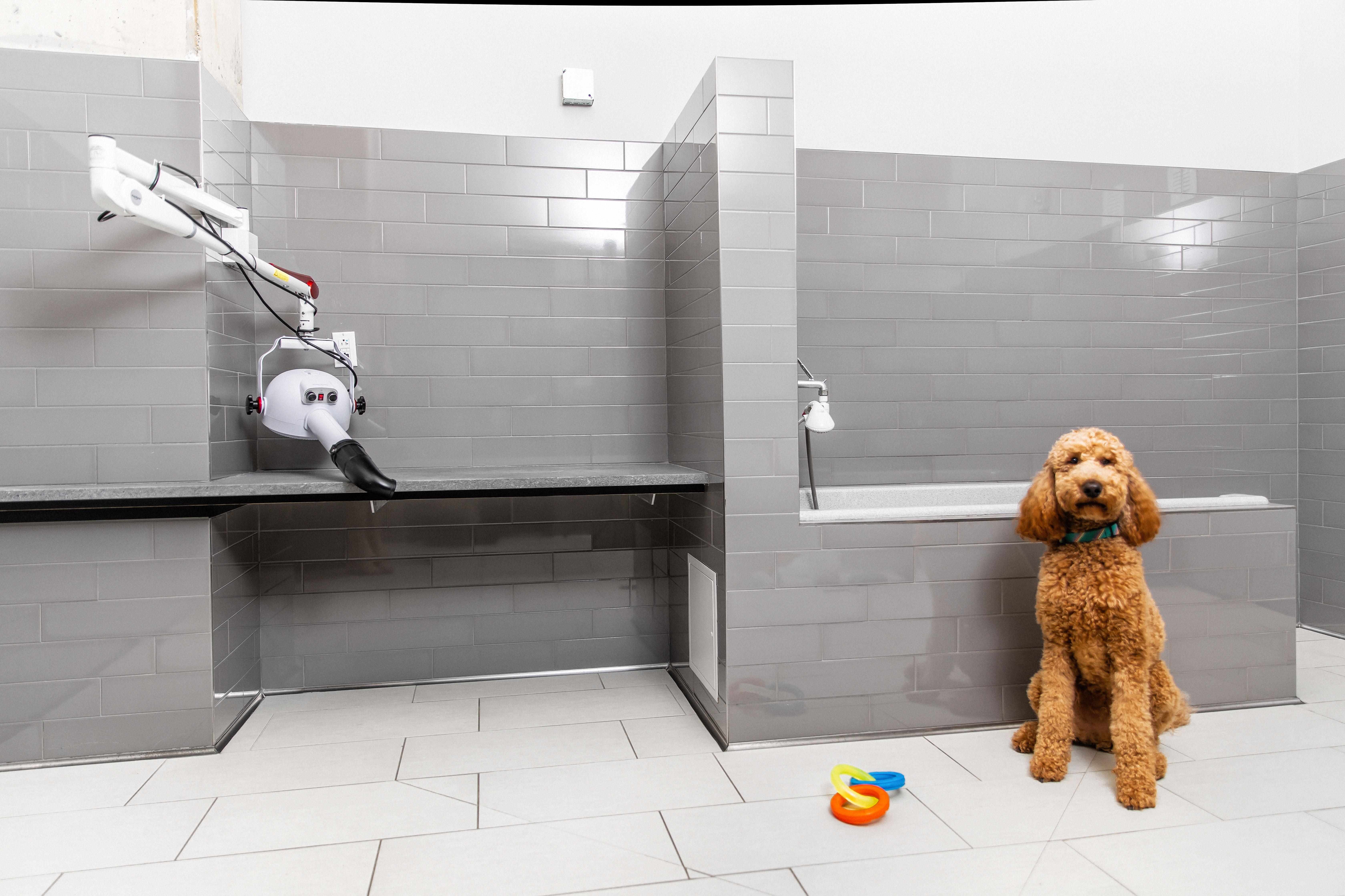 Pet wash at Avalon South End