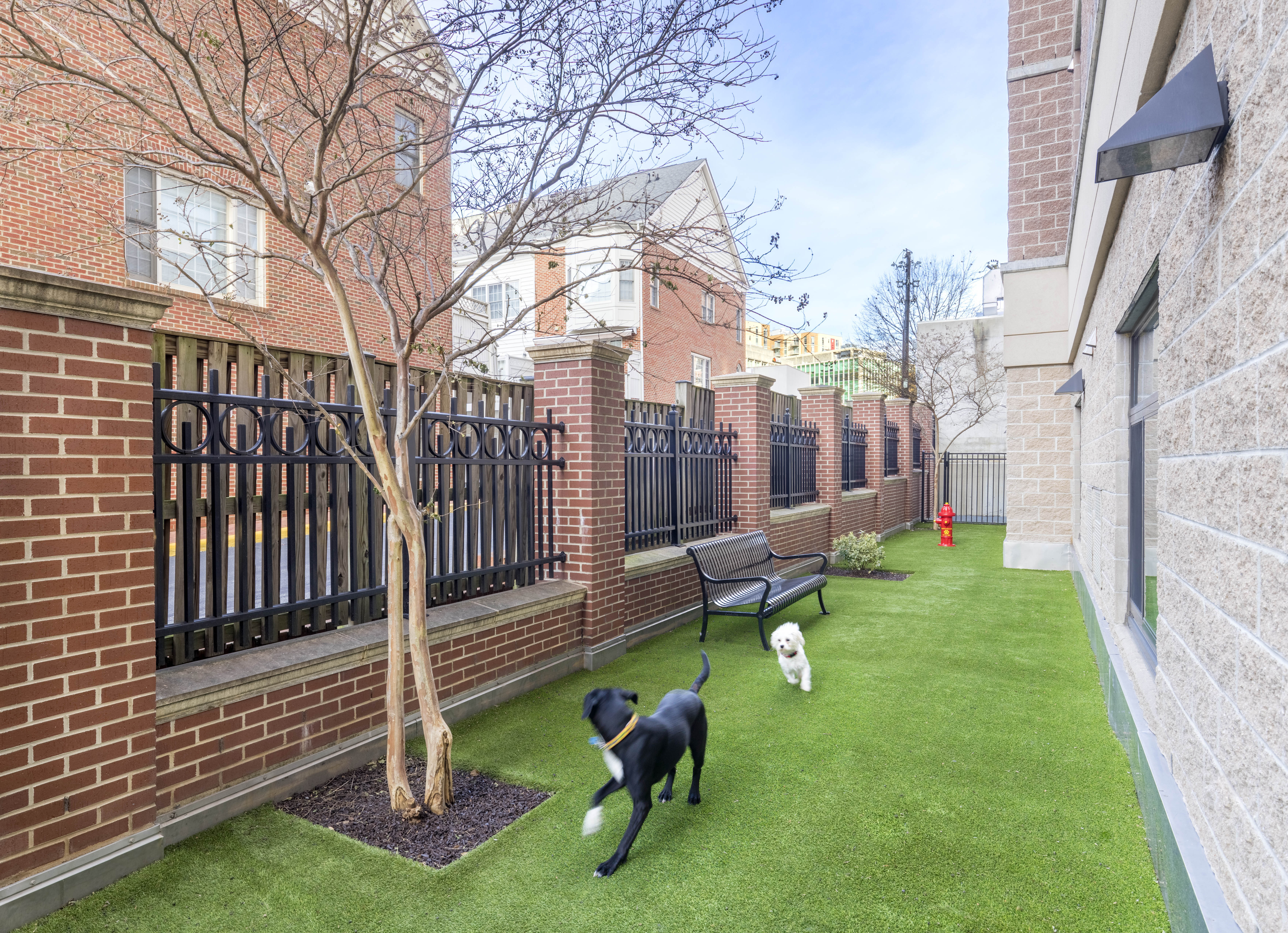 Dog park at Kanso