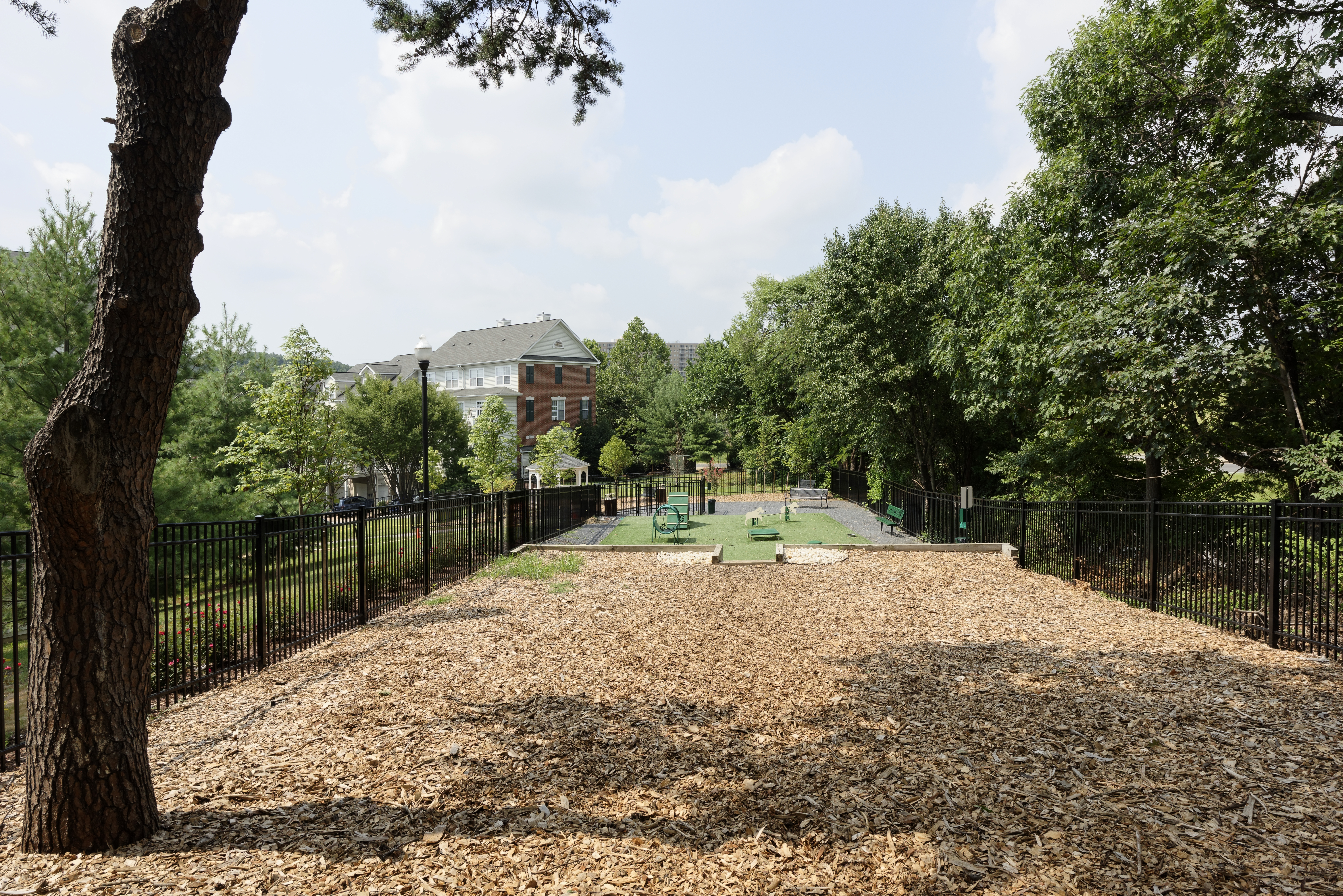 Dog park at Avalon At Arlington Square (2 of 3)