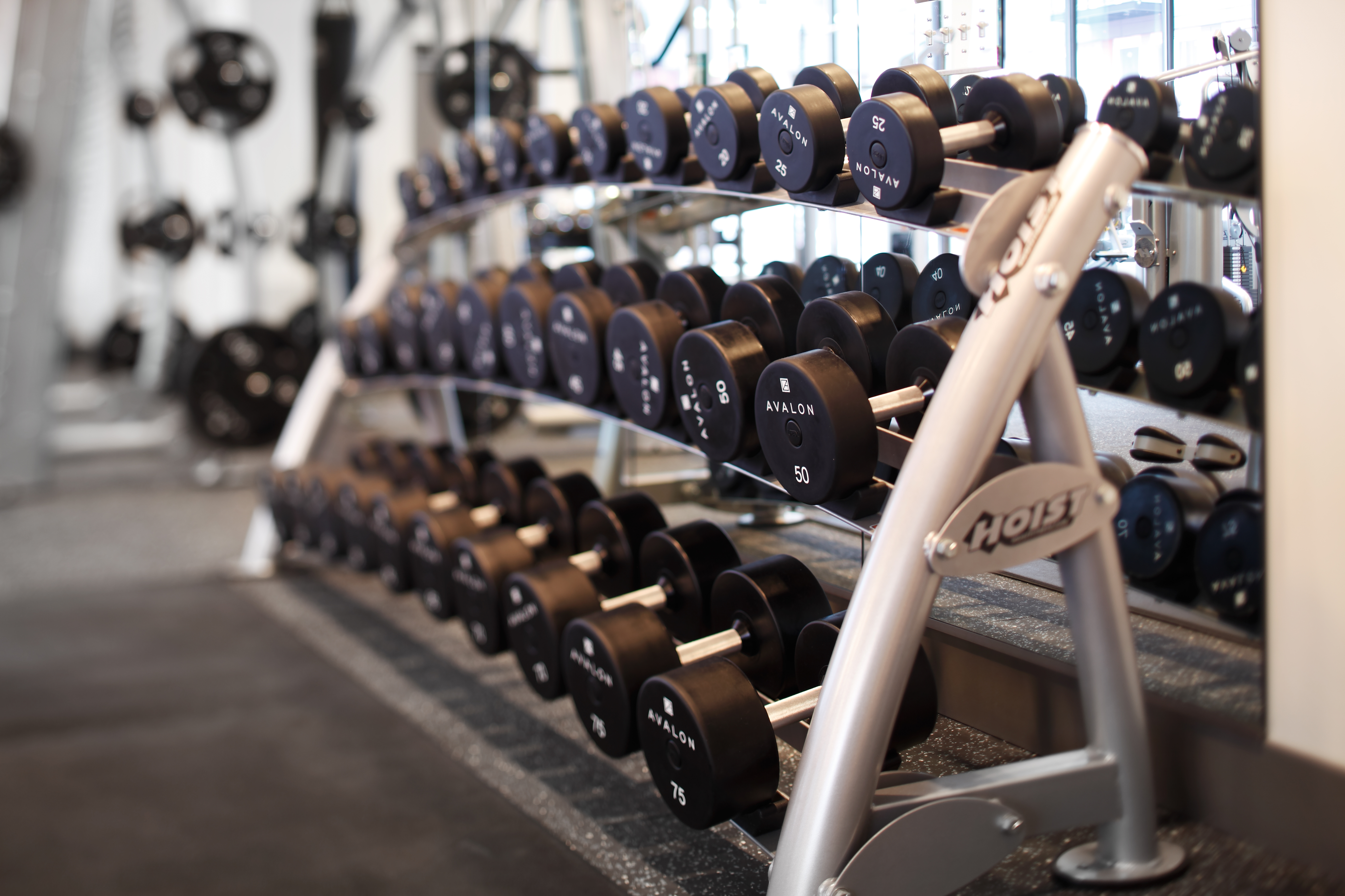 Gym at Avalon Esterra Park (4 of 5)