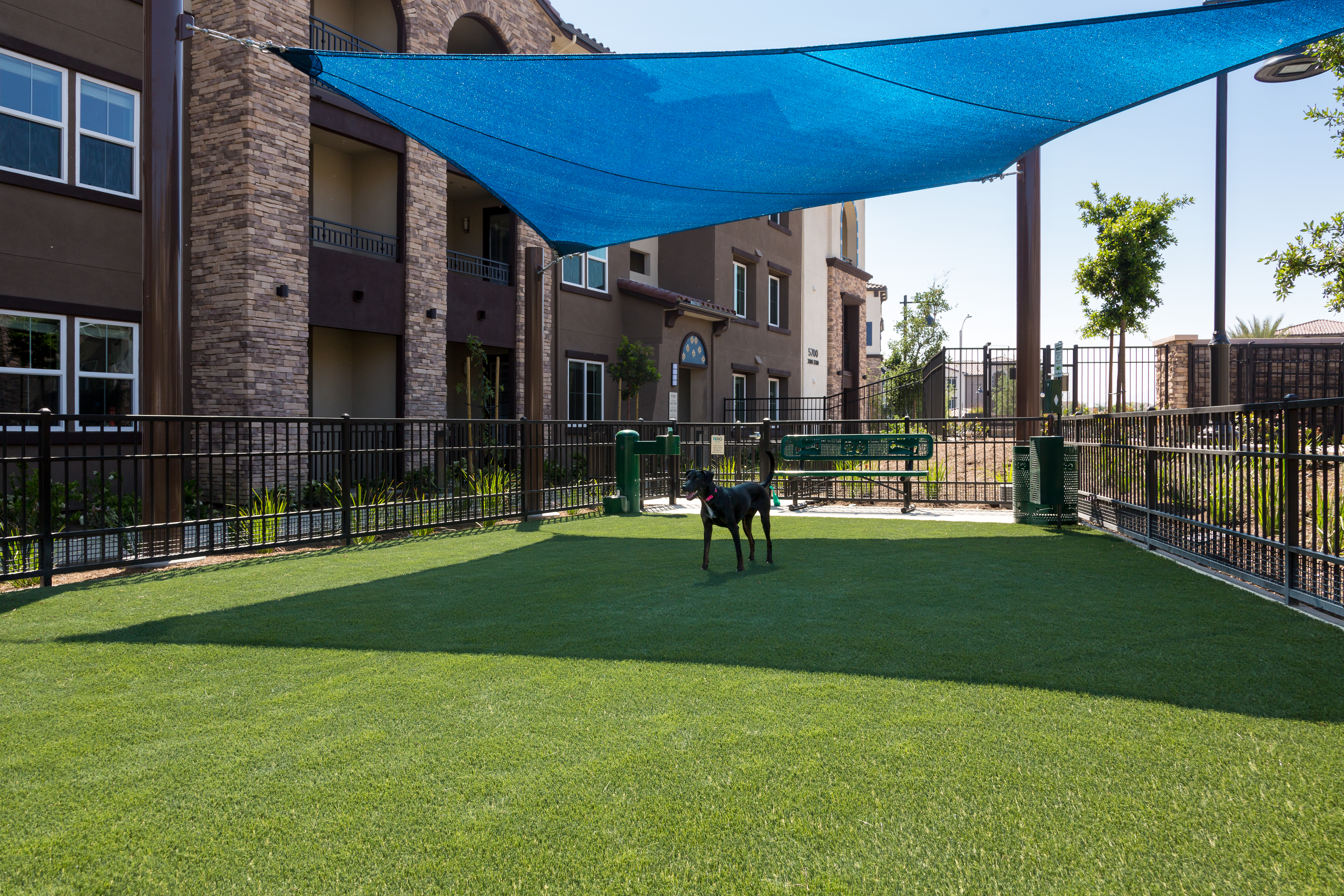Dog park at Avalon