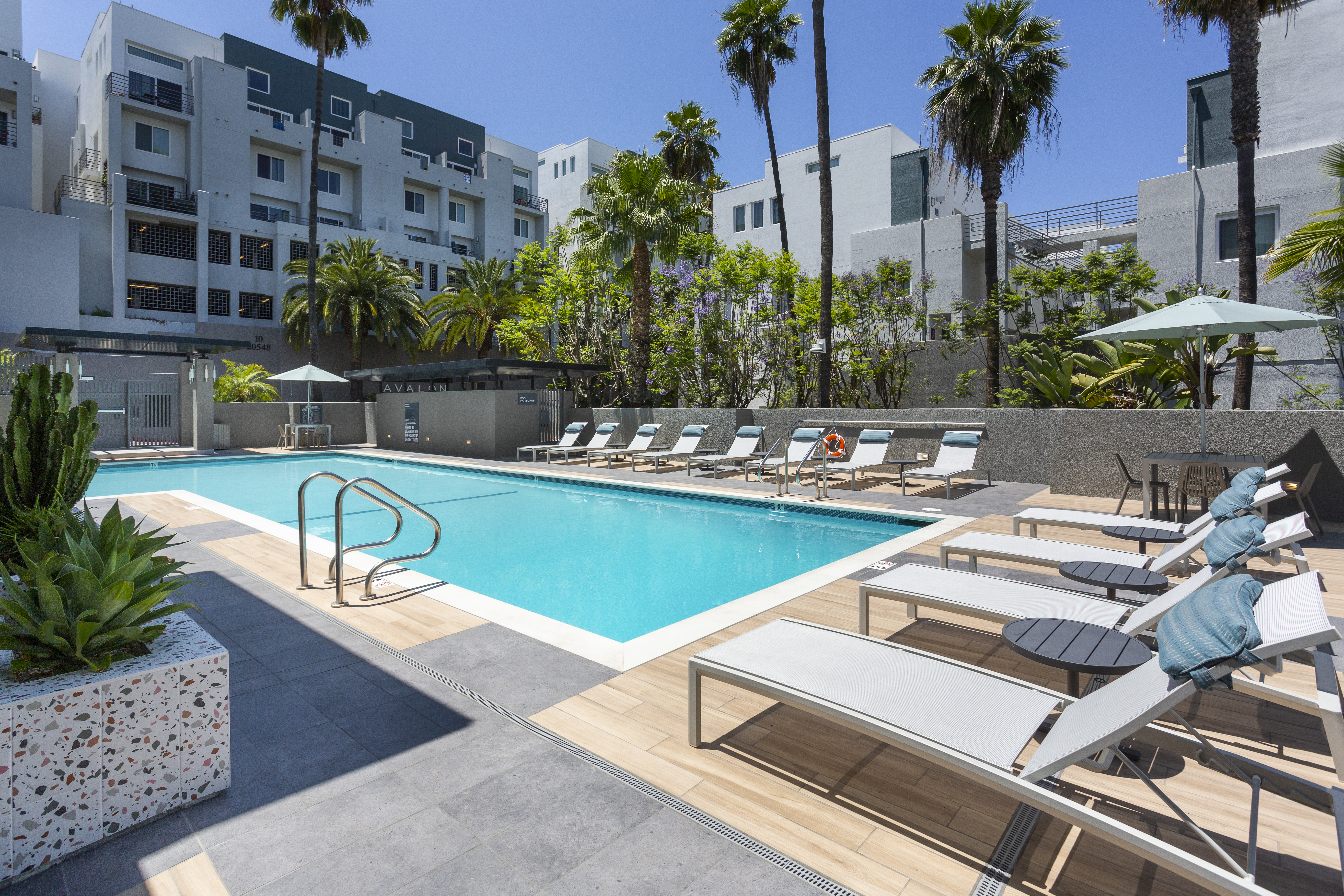 Pool at Avalon (3 of 6)