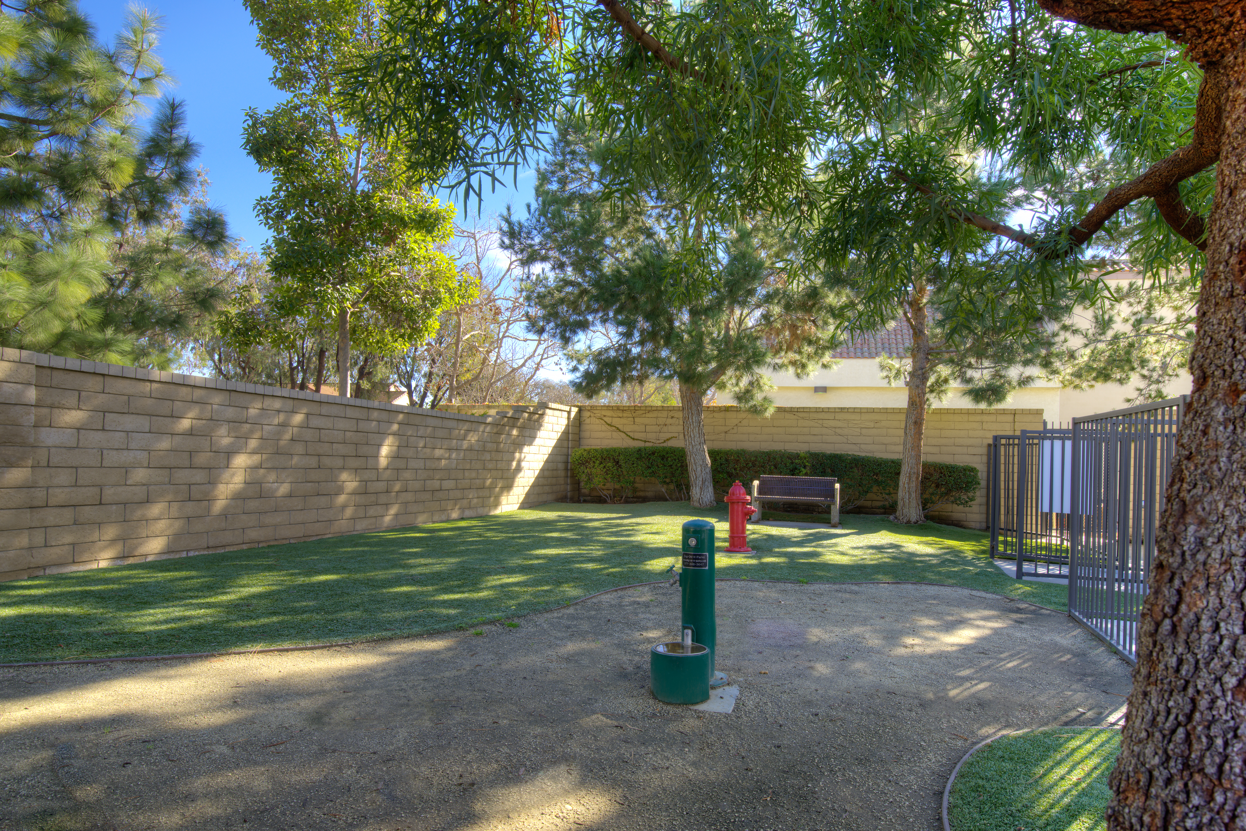 Dog park at Avalon Mission Oaks