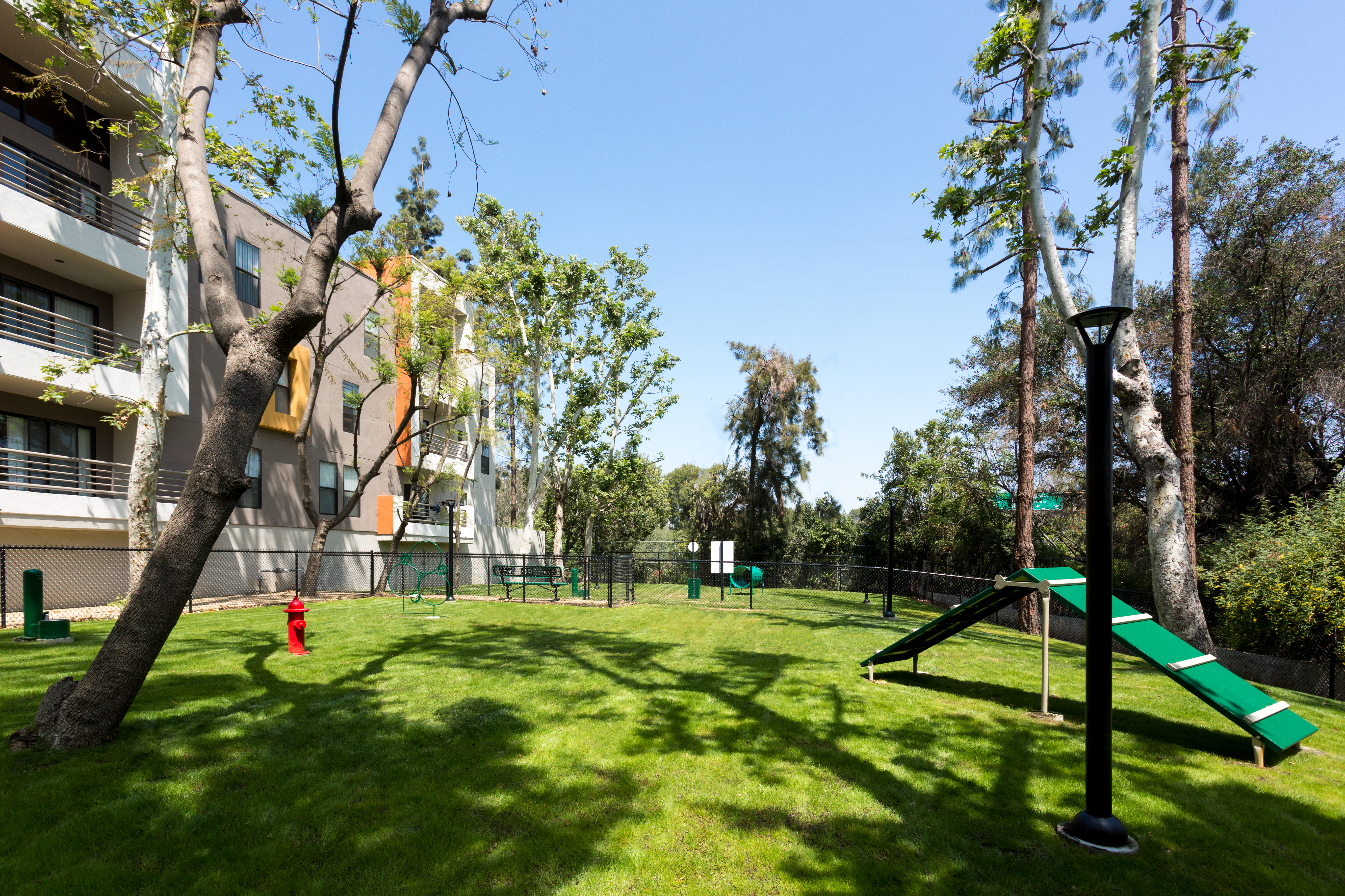 Dog park at Ava (2 of 2)