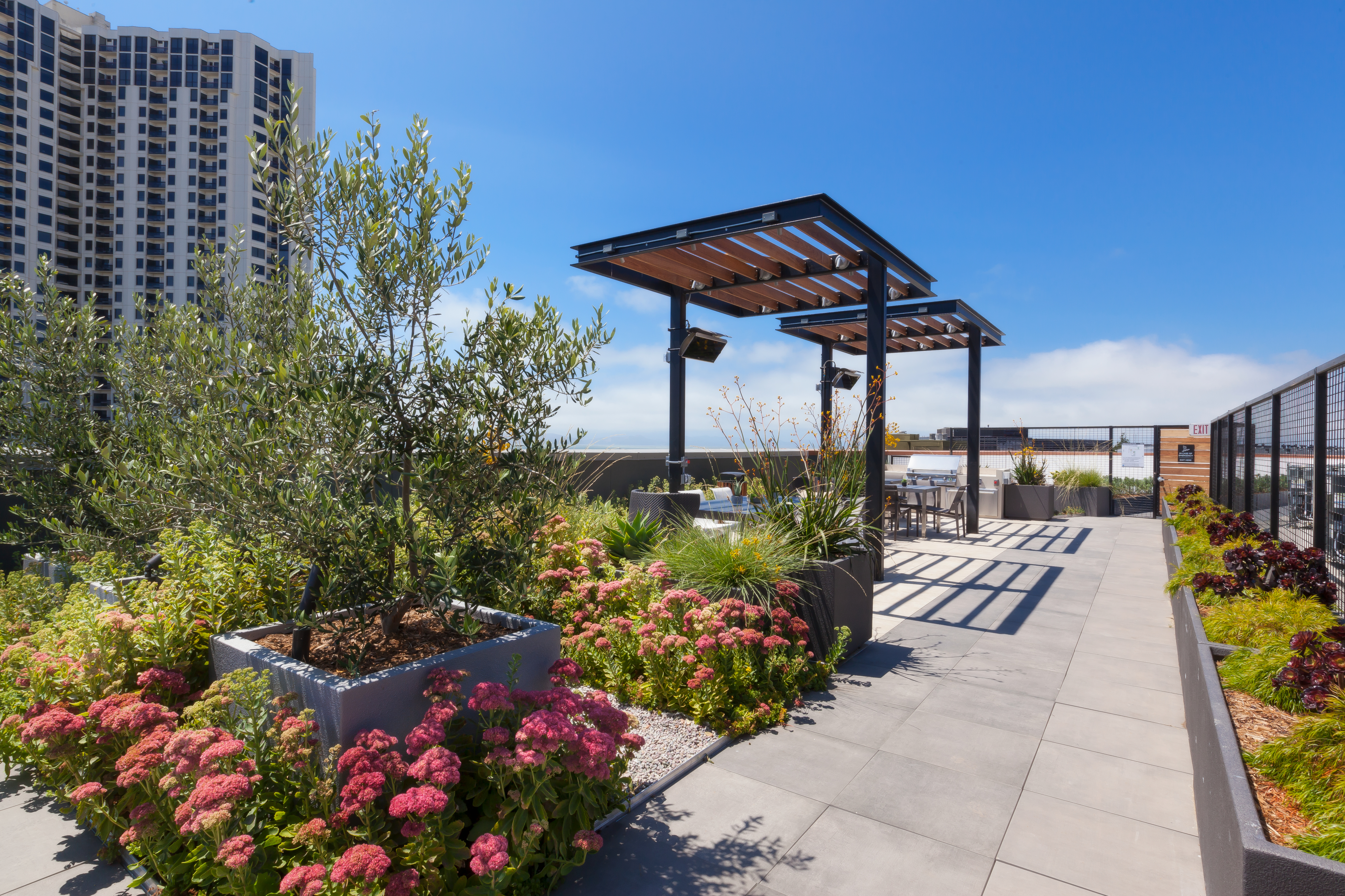 Roof deck at Avalon Public Market (1 of 2)