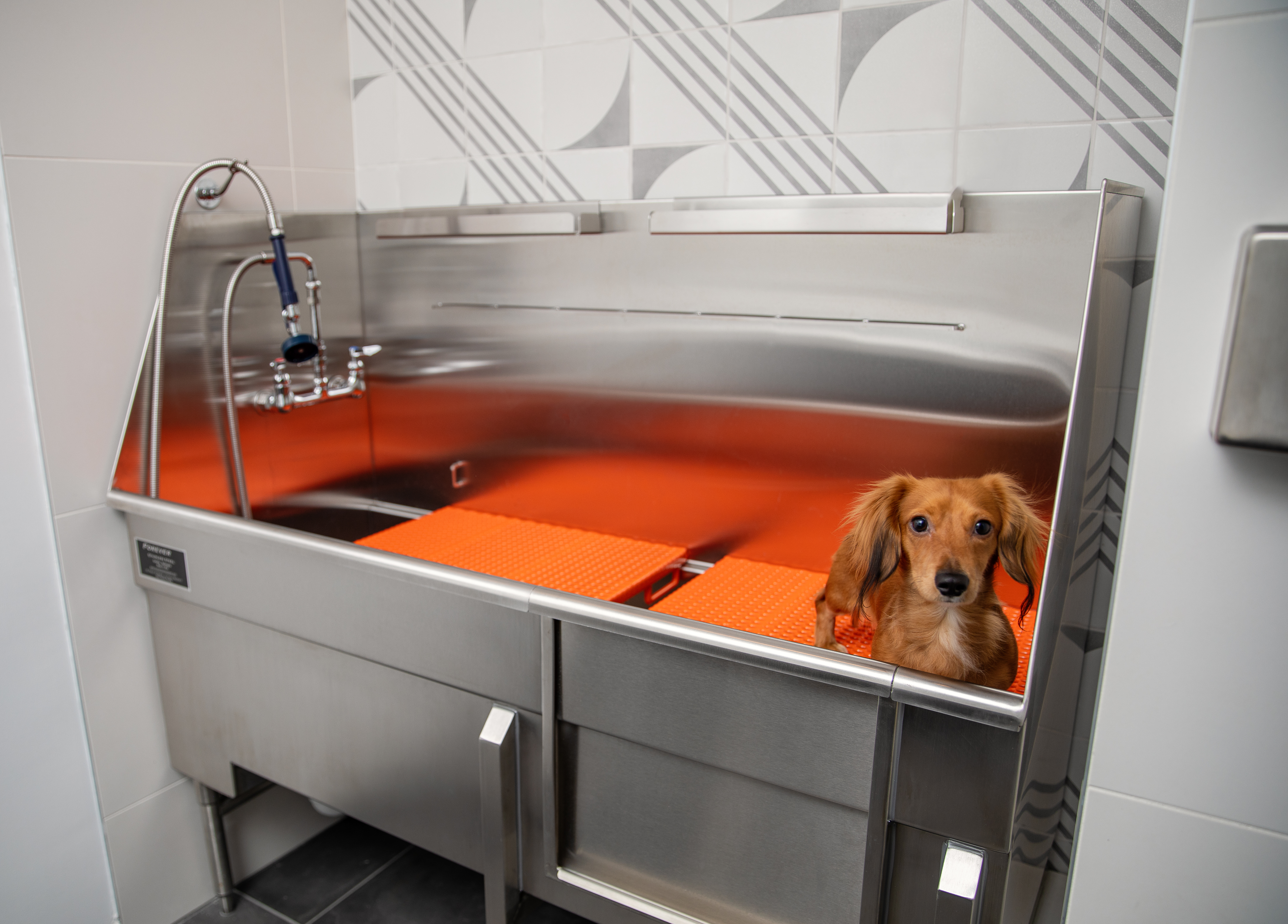 Pet wash at Avalon (2 of 2)