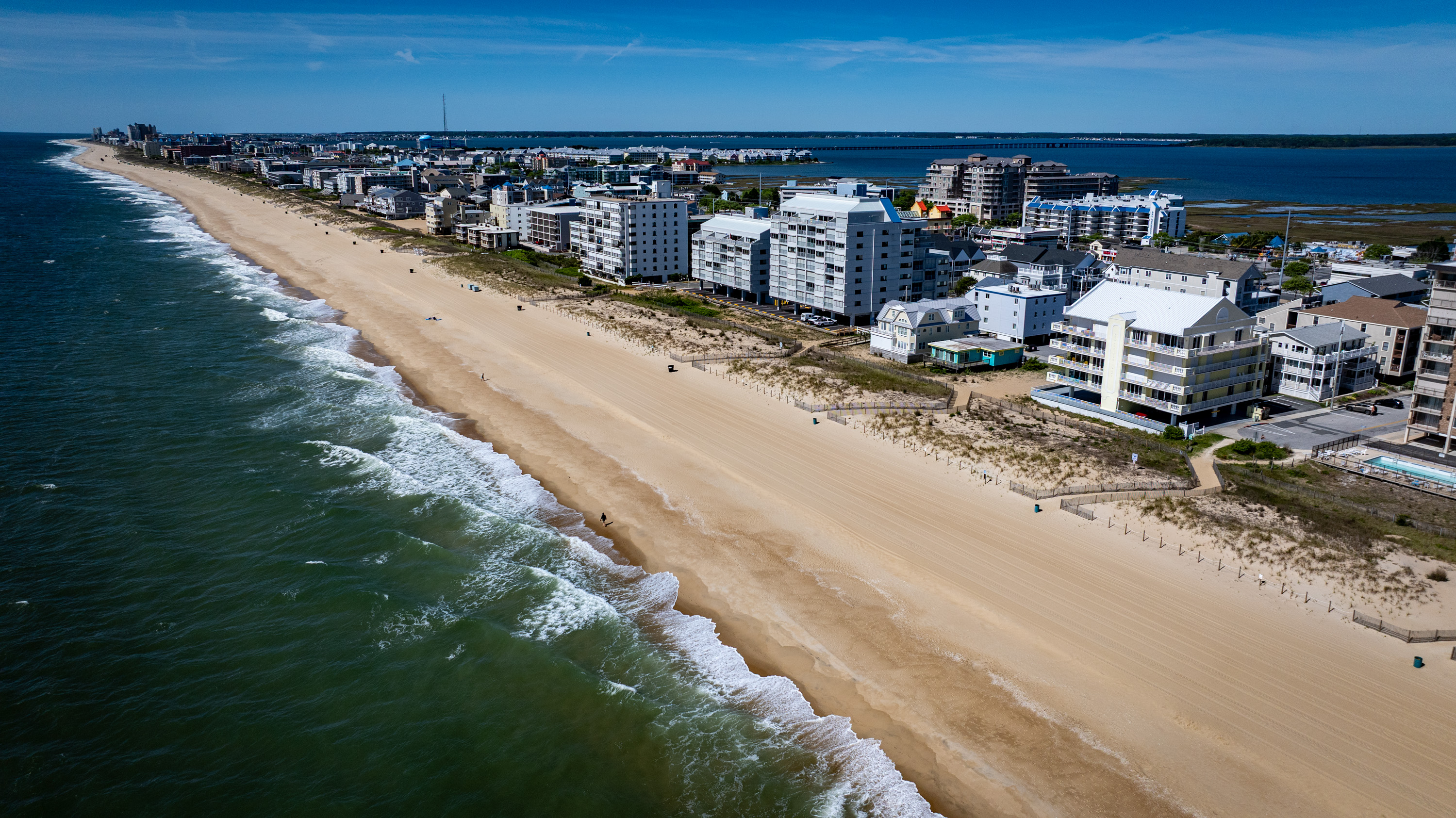 Why a ‘storm' of jellyfish took over Ocean City beaches this summer