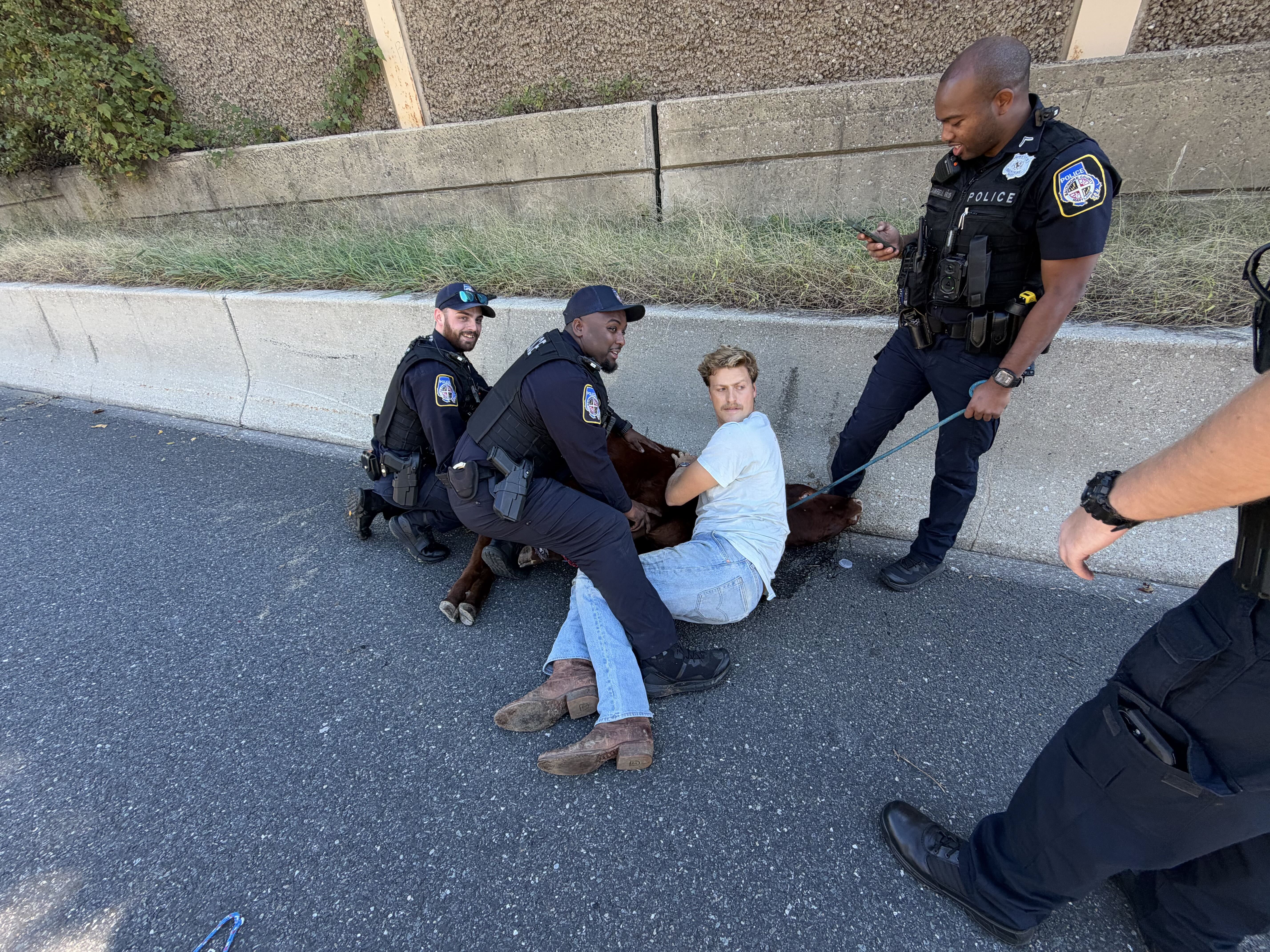 ‘She's on the Beltway': Pikesville farmer recalls racing from bedside of wife and newborn to wrangle his cow on I-695