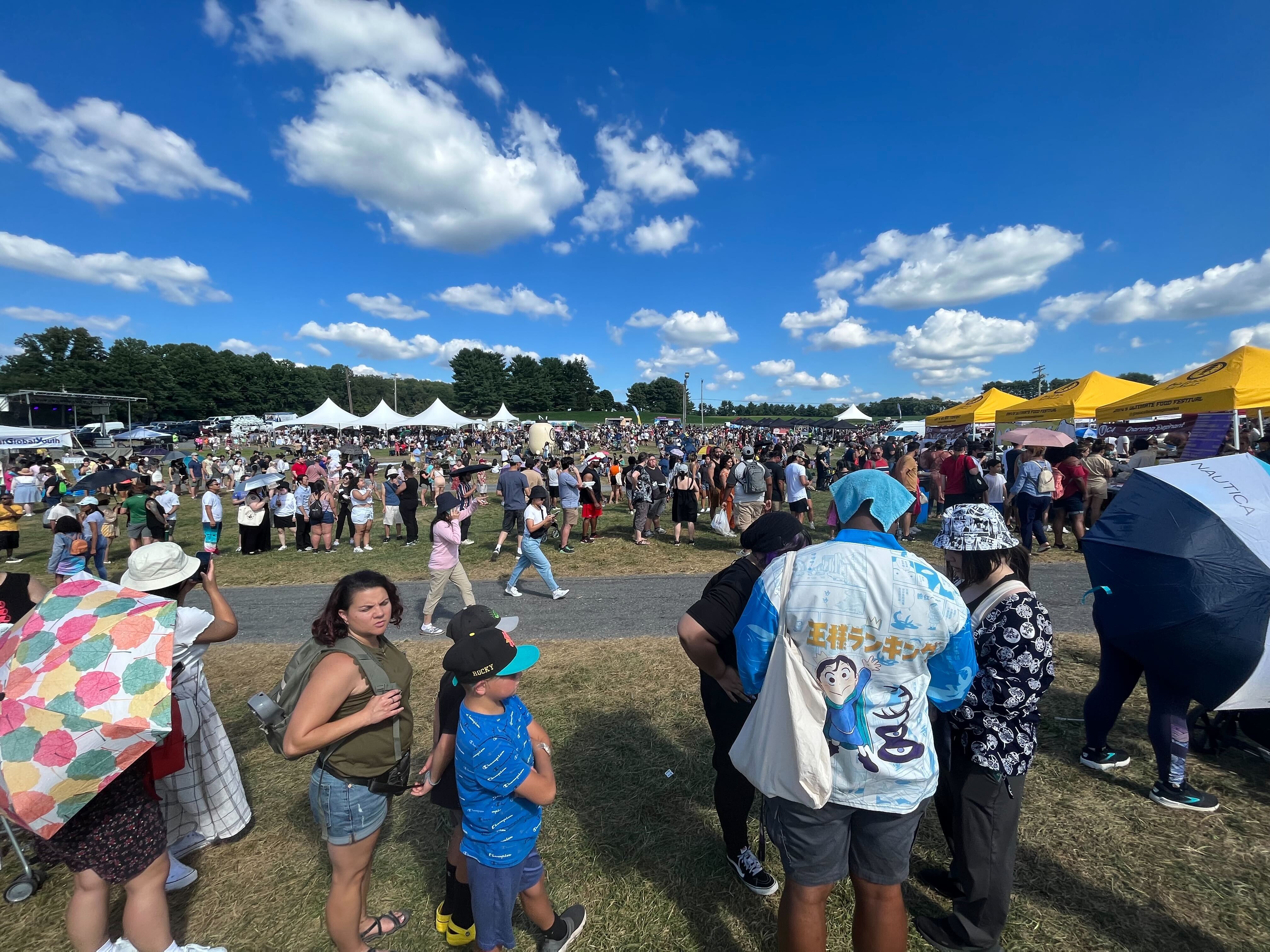 Traffic and lines turned Howard County Asian food festival into a  'disaster' - The Baltimore Banner