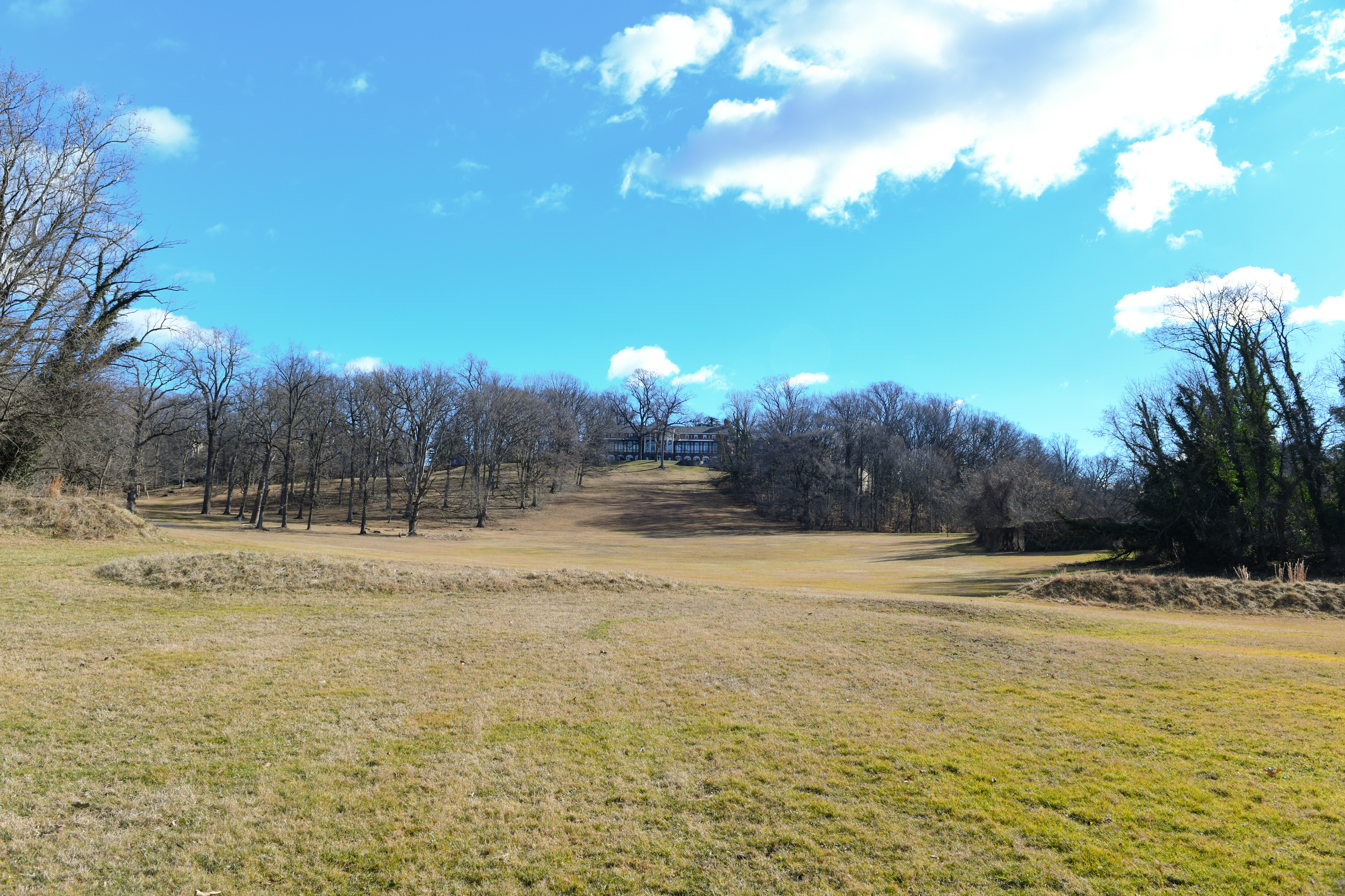 Hillside Park. A Green Space for All. – Roland Park Civic League