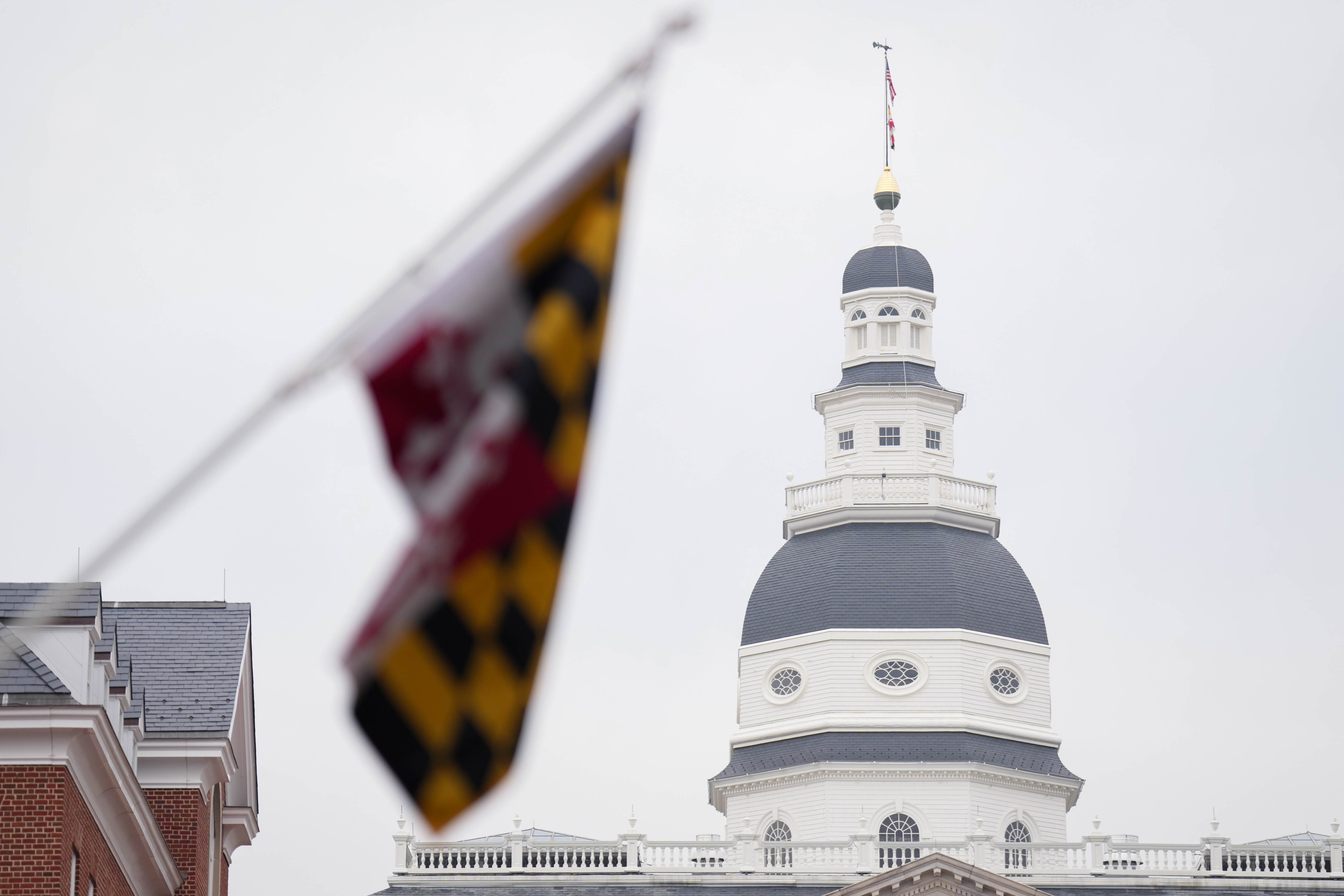 Judge blocks Maryland redistricting question from November ballot