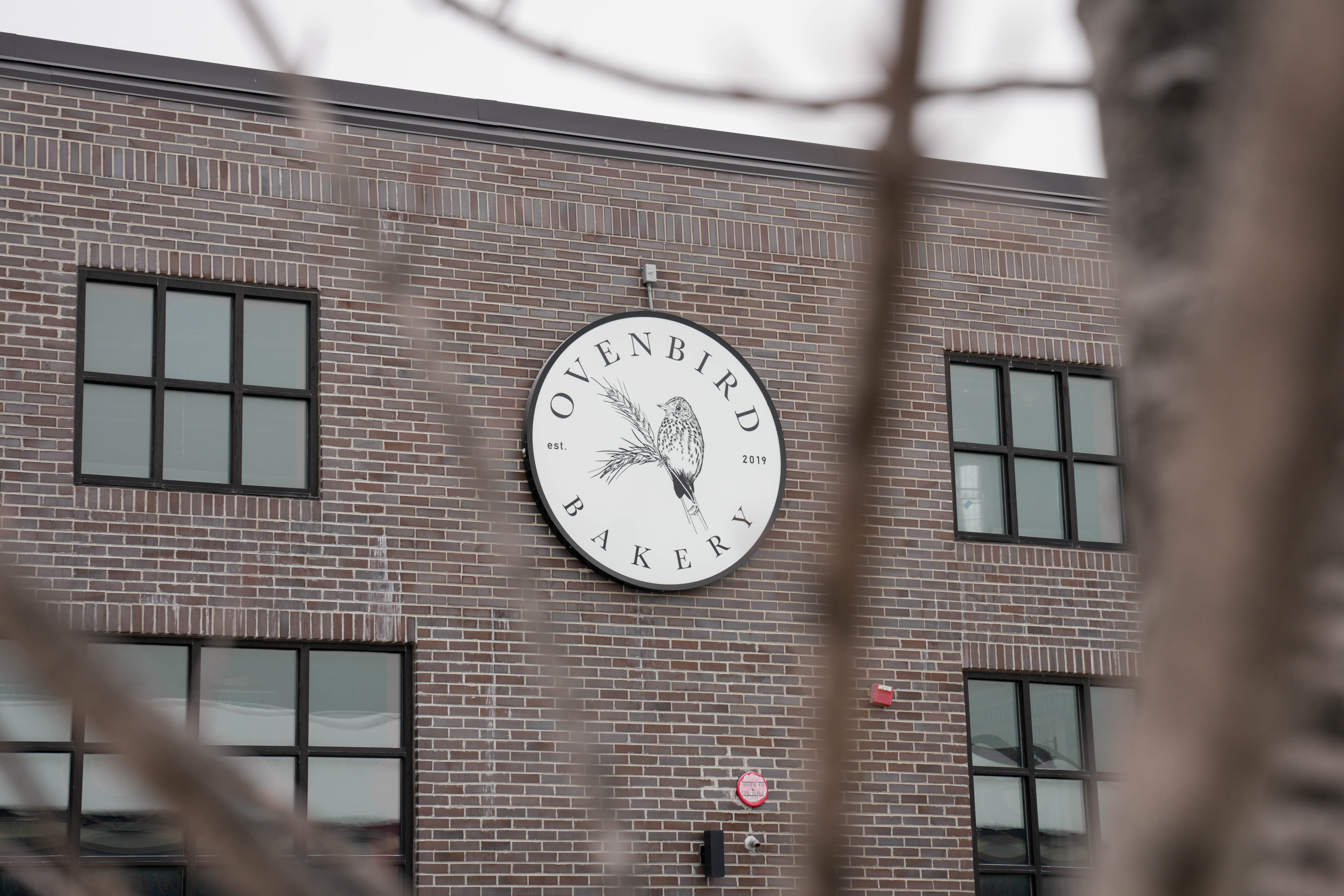 Staff shaken after ICE pursuit leads agents into Ovenbird Bakery in Highlandtown