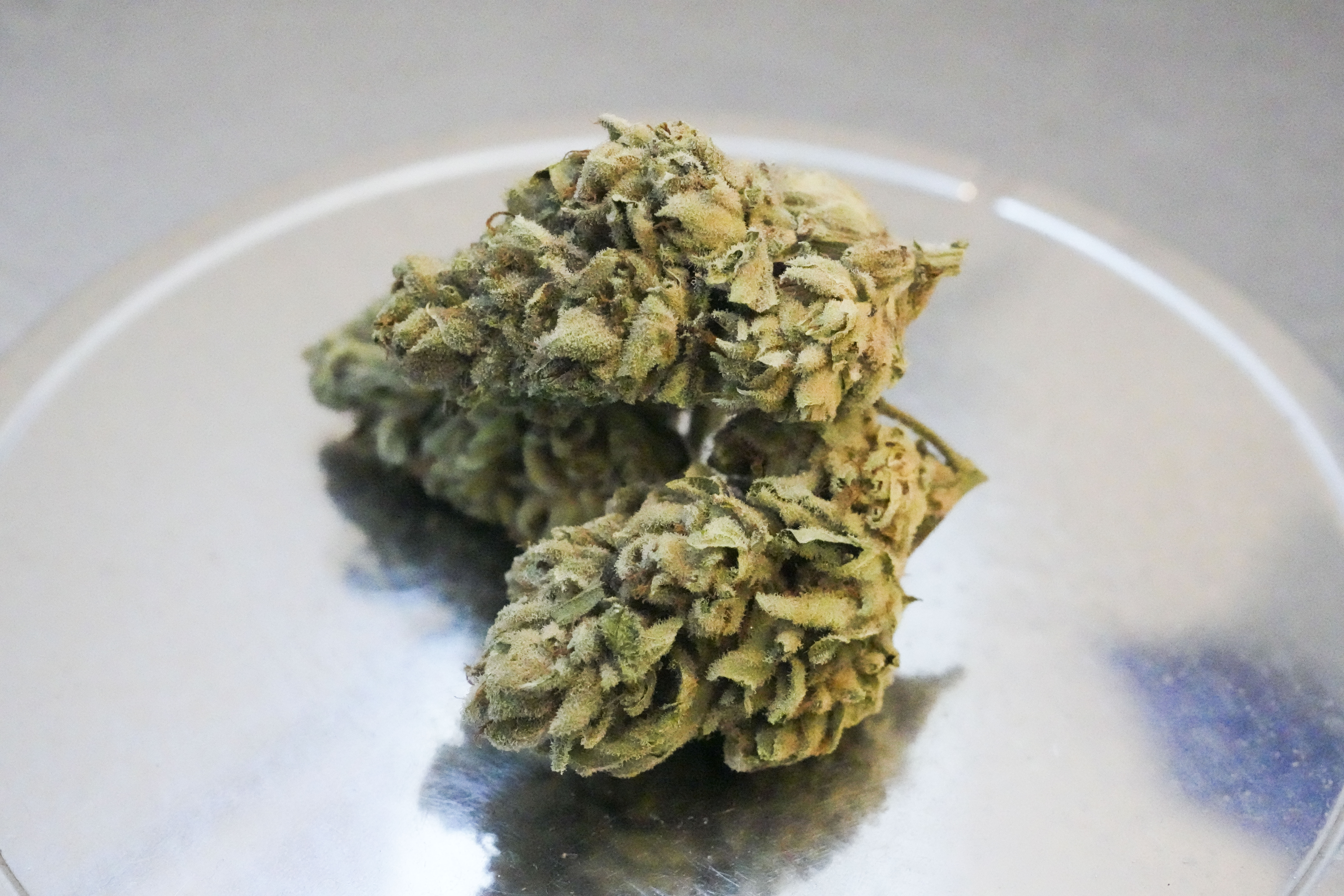 Prince George's Council gave itself final say over millions in cannabis revenue