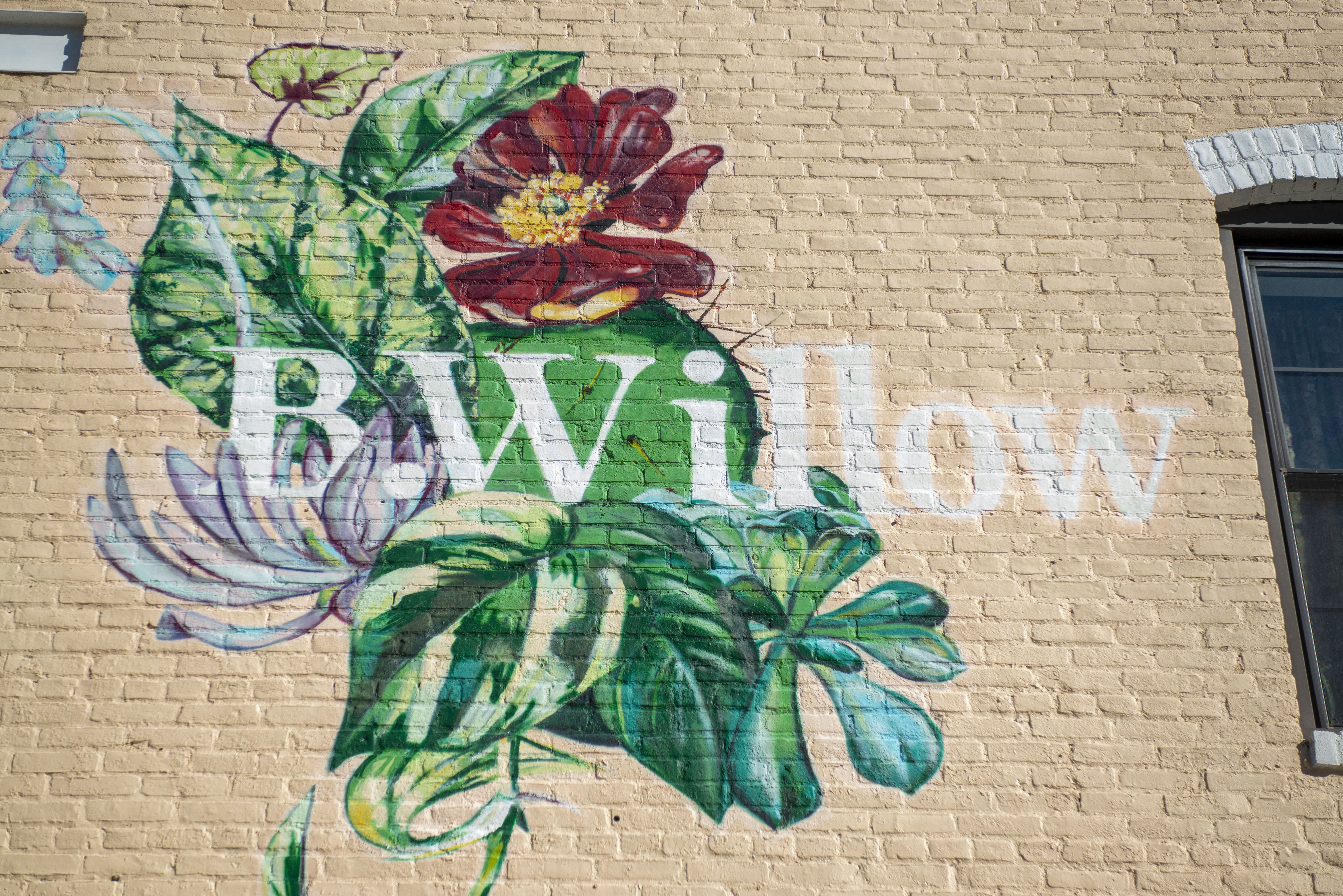 A botanical mural adorns the side of B. Willow in Remington.
