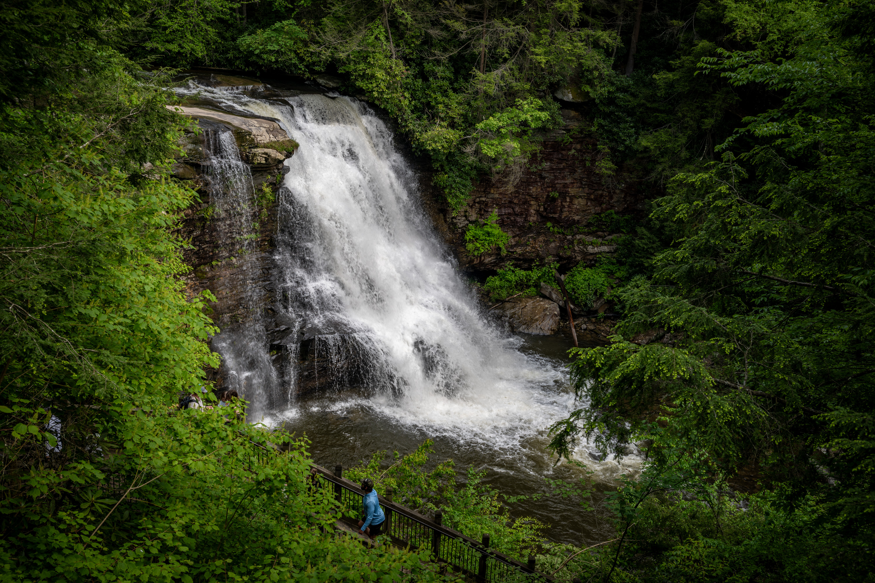 Muddy Creek Falls in Swallow Falls State Park near Oakland, Maryland, on June 5, 2025.