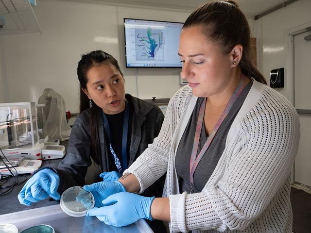 Vibrio on the rise as climate warms the Chesapeake Bay