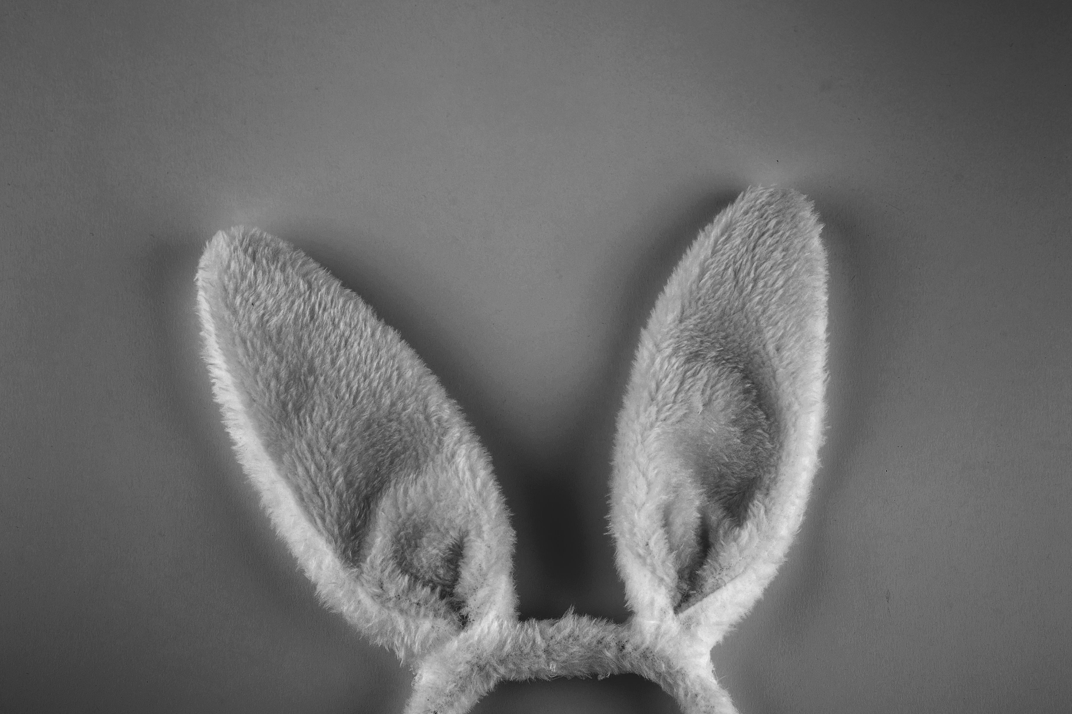 Murderer, vandal or urban legend? Who was the Bunny Man?