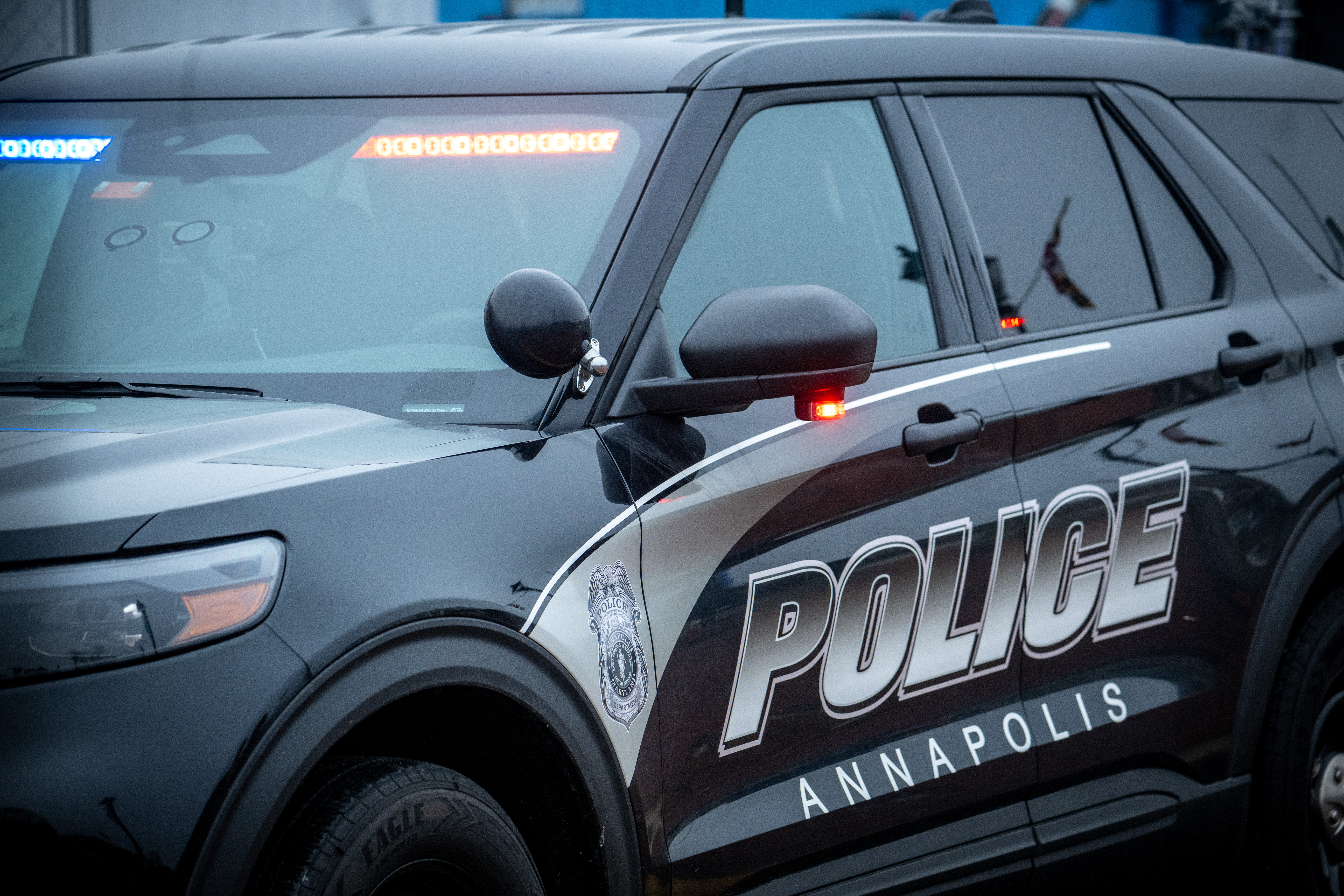 Annapolis man charged after allegedly shooting leashed dog in the head