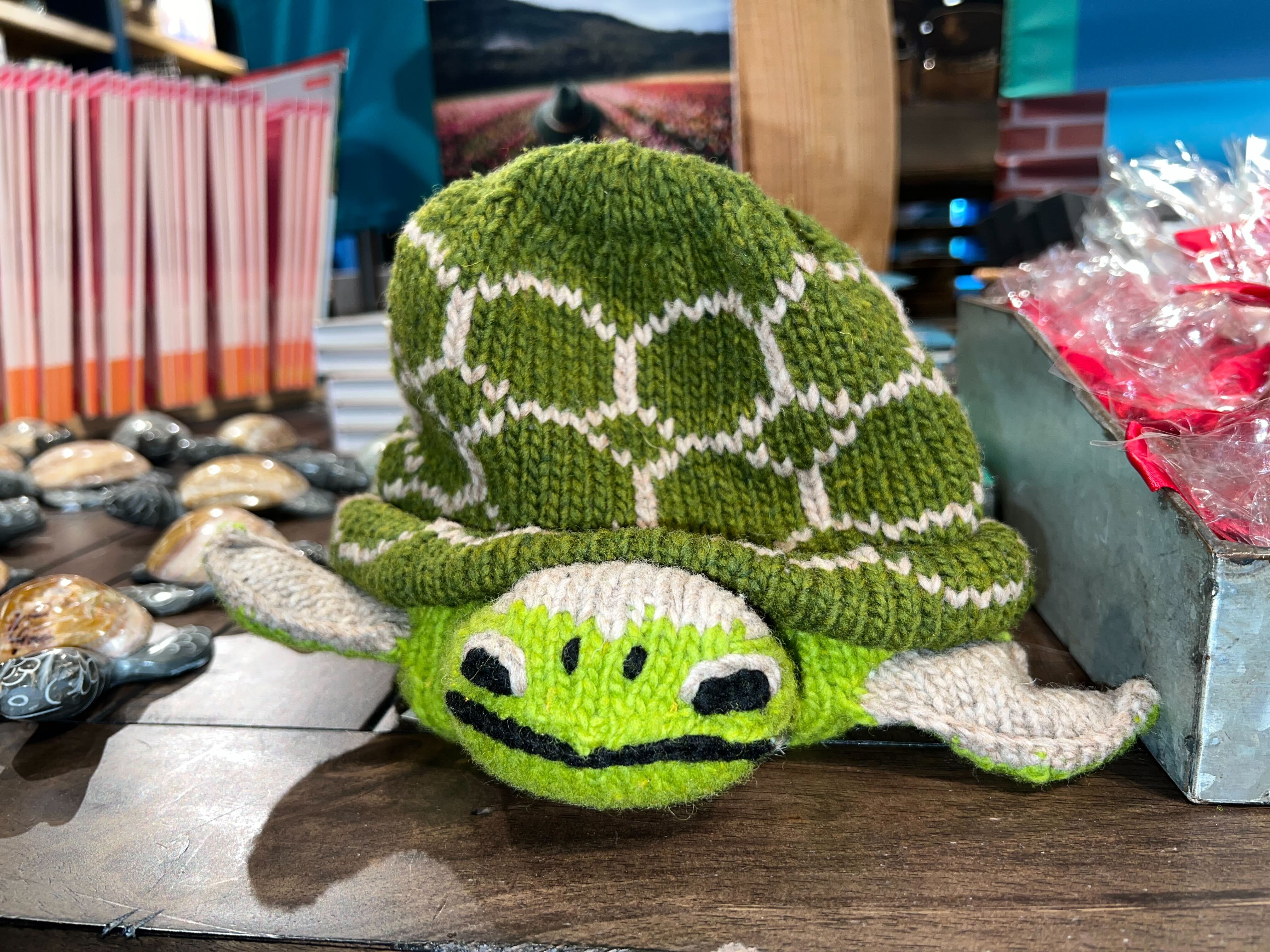 Wool turtle hat