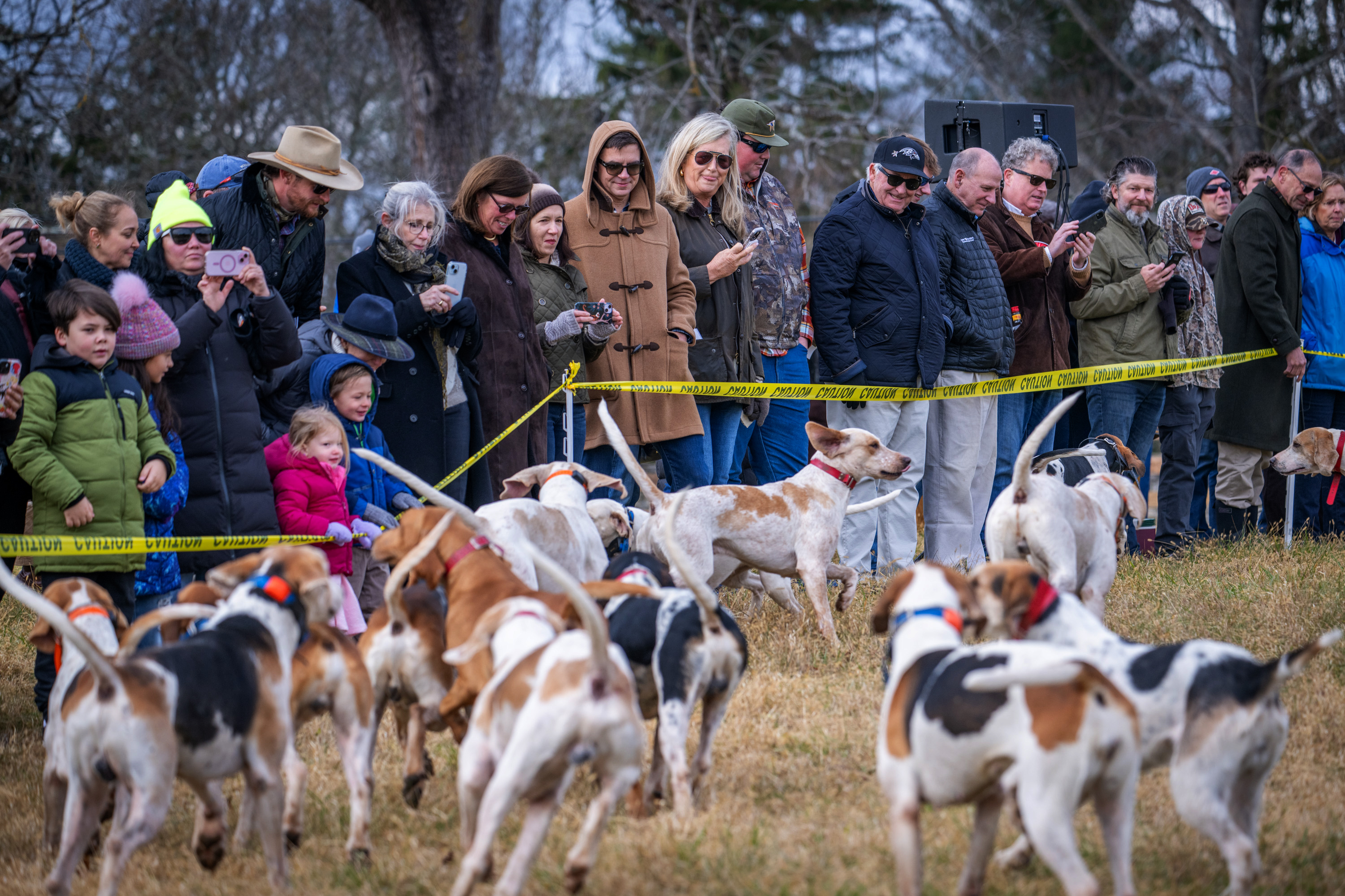 Hounds Of Howgate