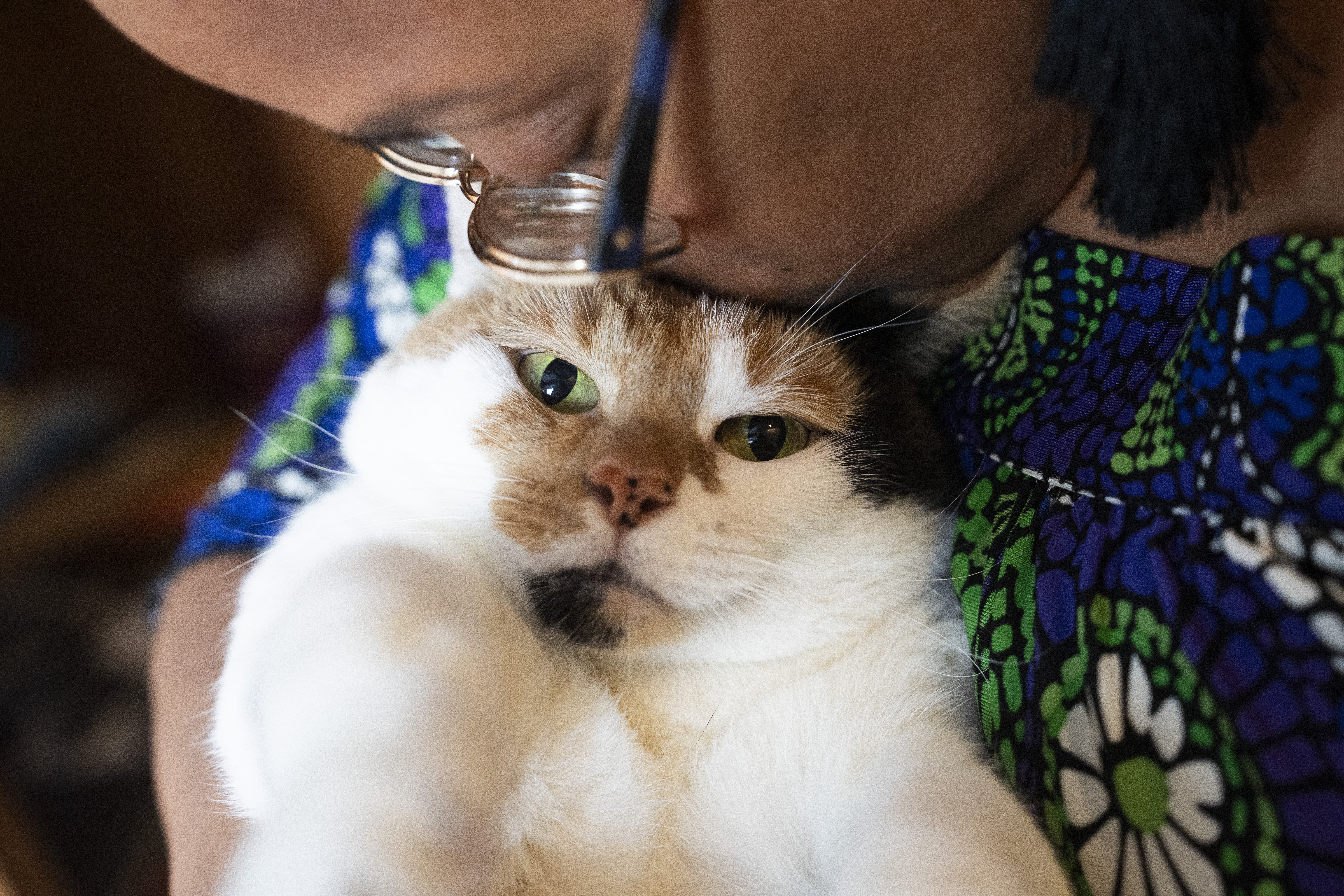 Streeter: Baltimore's animal abuse commission is back. Thank goodness.