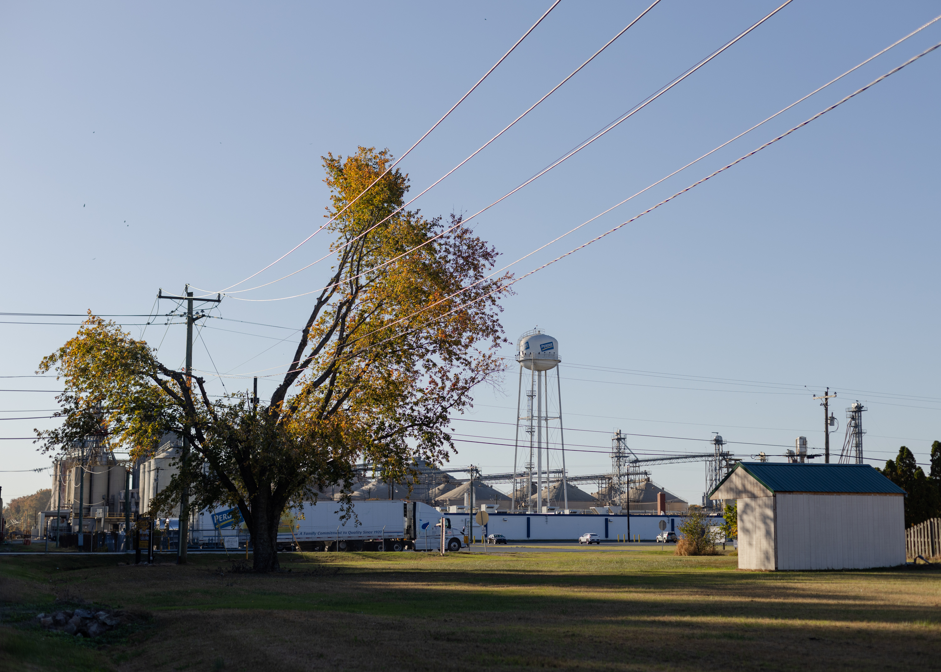 Perdue wants to release five times more wastewater into Eastern Shore stream