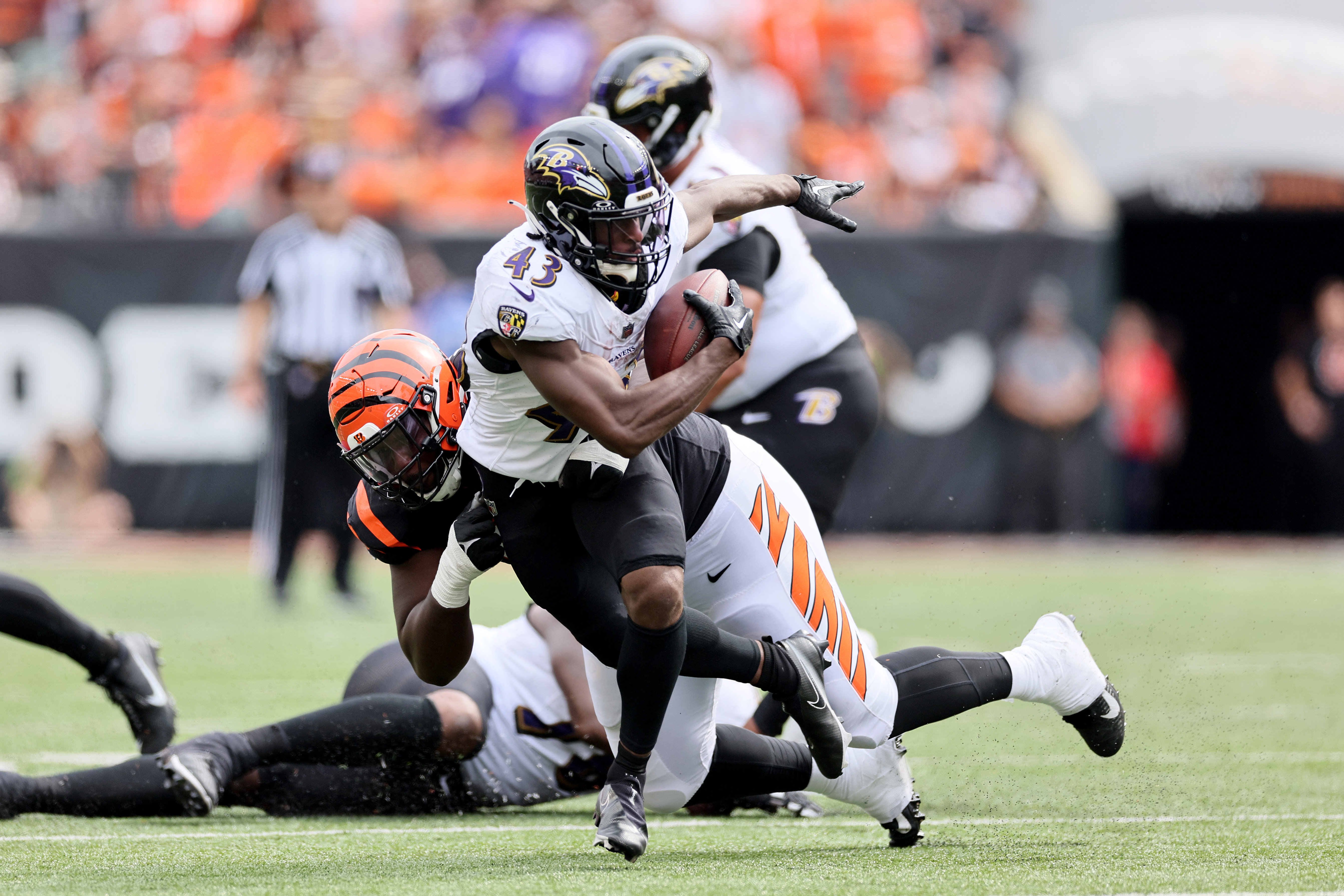 Ravens Beat Browns, Win AFC North Crown, Head To The Playoffs