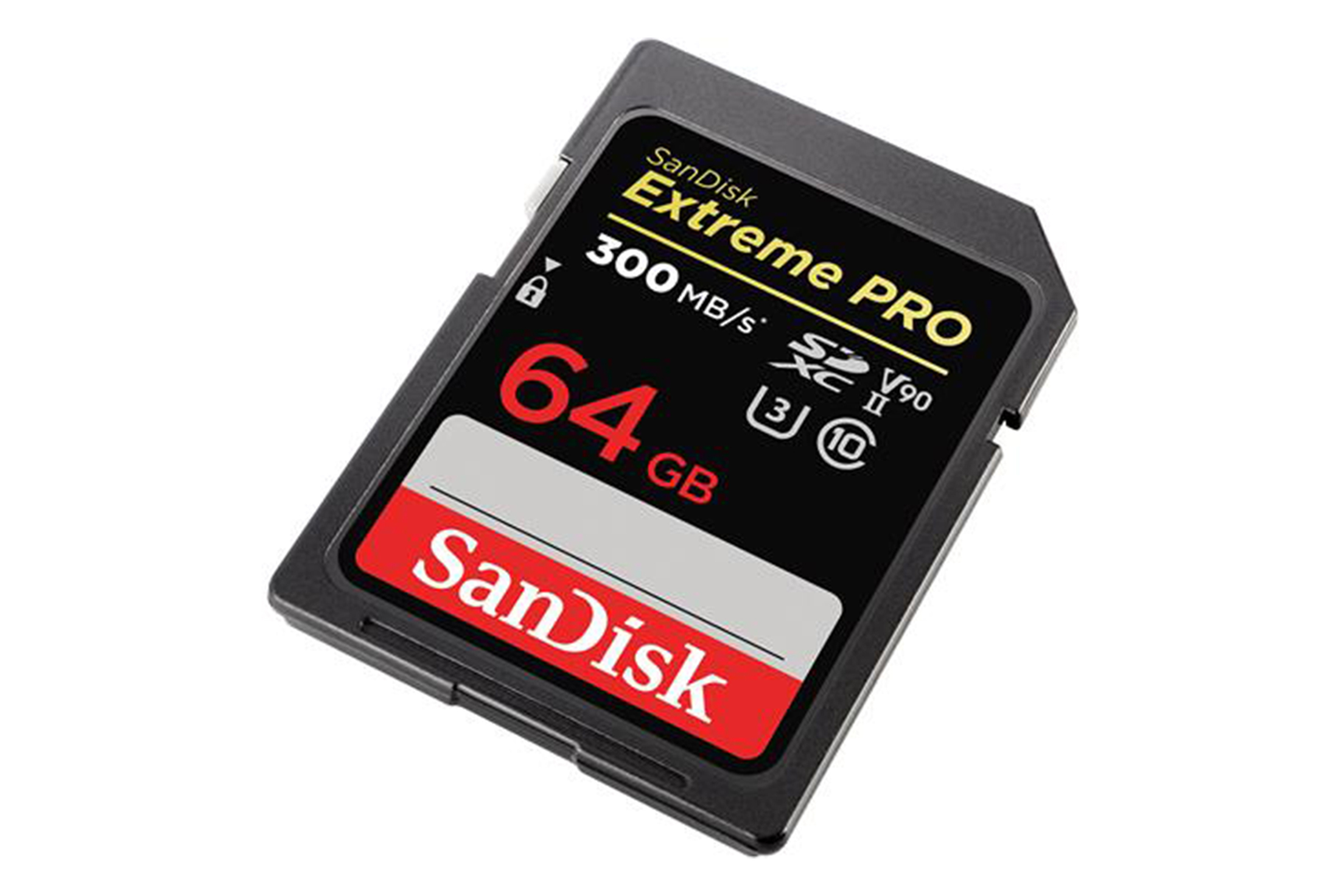SanDisk 64GB SD memory card