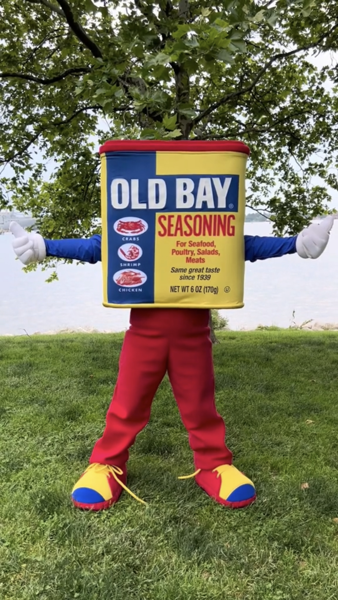 OLD BAY Seasoning, 24 oz - One 24 Ounce Container OLD BAY All