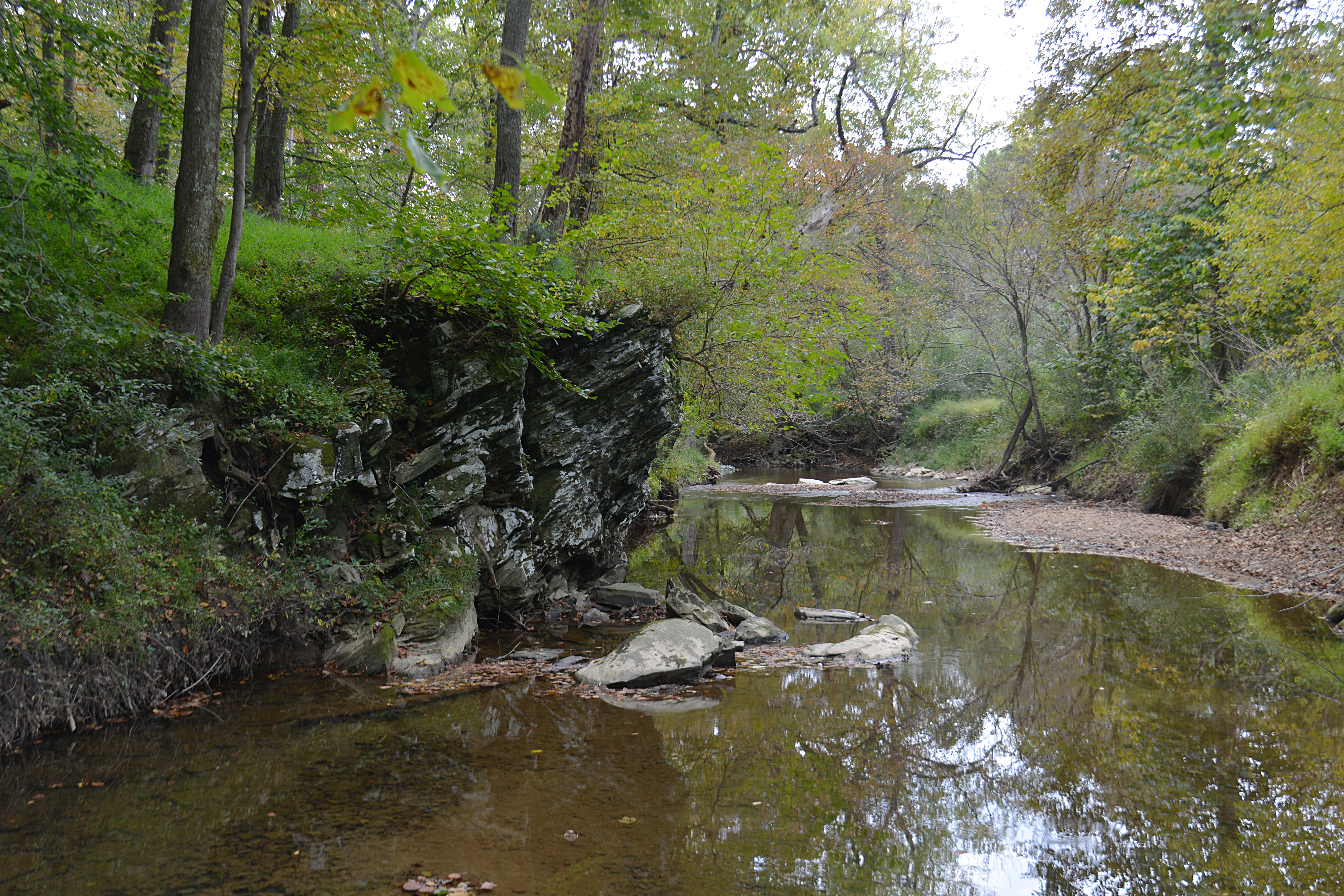 Muddy Branch Stream near Esworthy Road in Montgomery County.